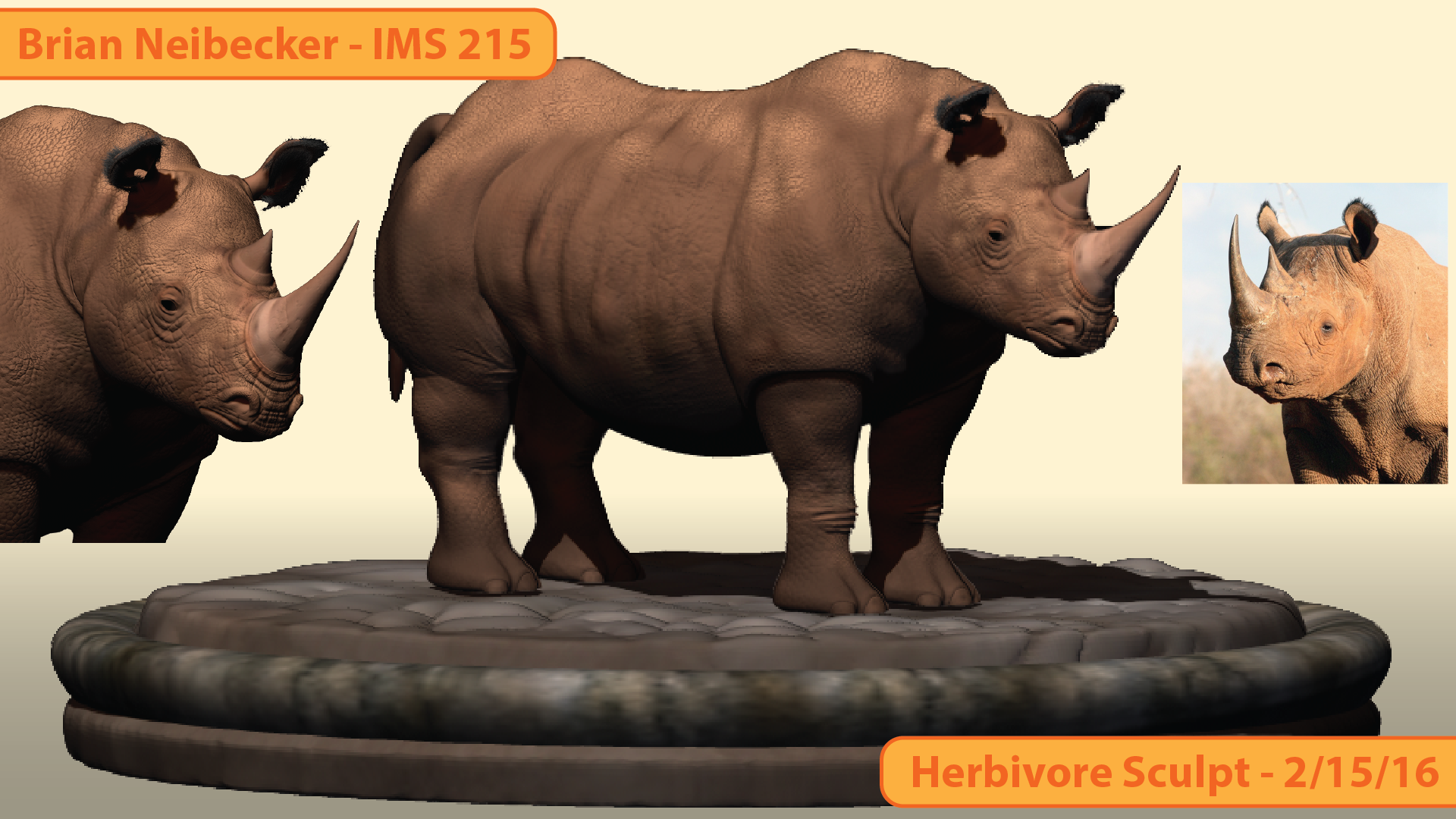 Rhino_02-01.png