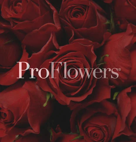 proflowers.jpg
