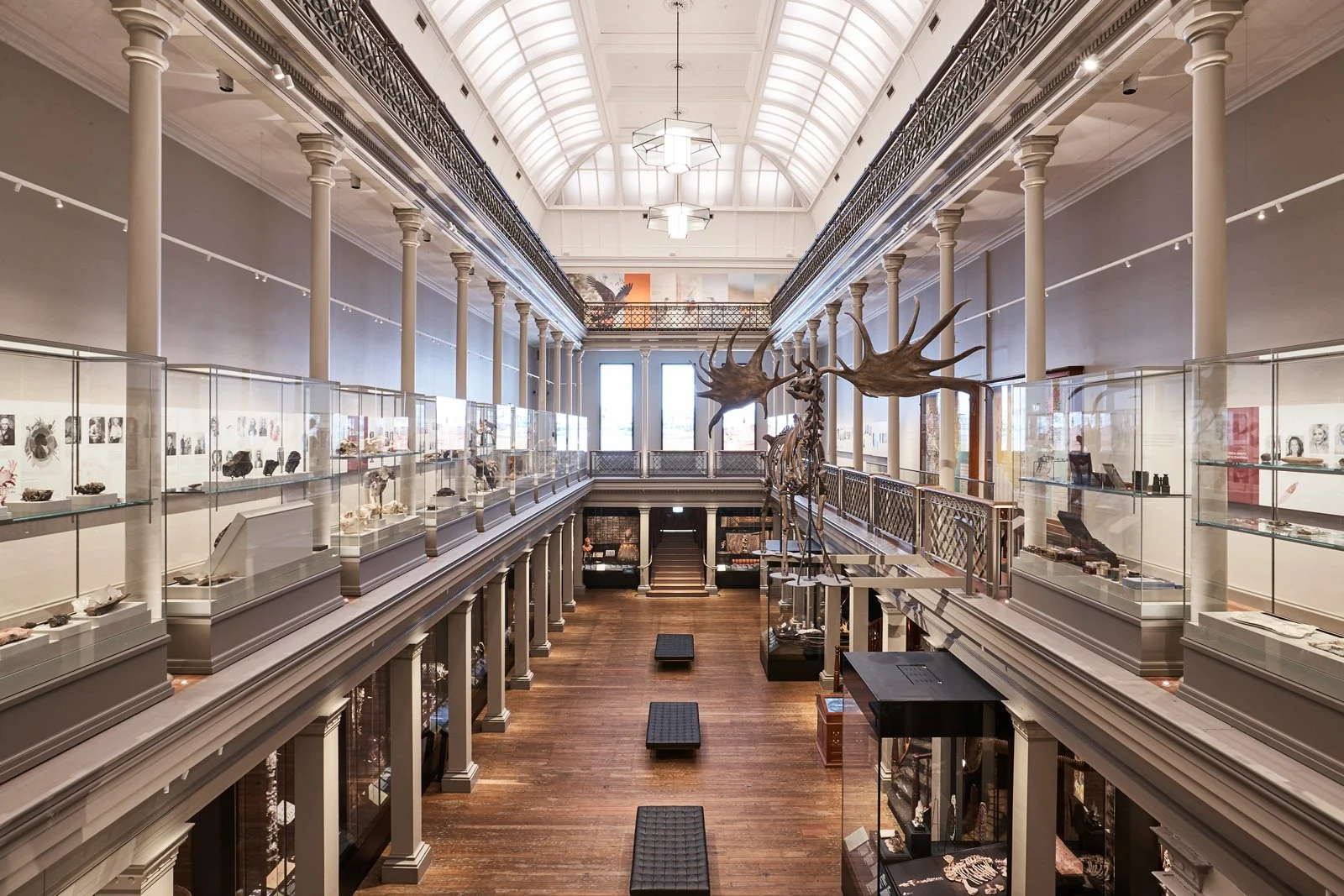 Australian_Museum_2018_S53_7122_LR.jpg