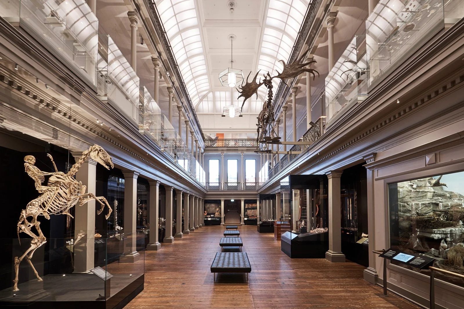 Australian_Museum_2018_S53_7114_LR.jpg