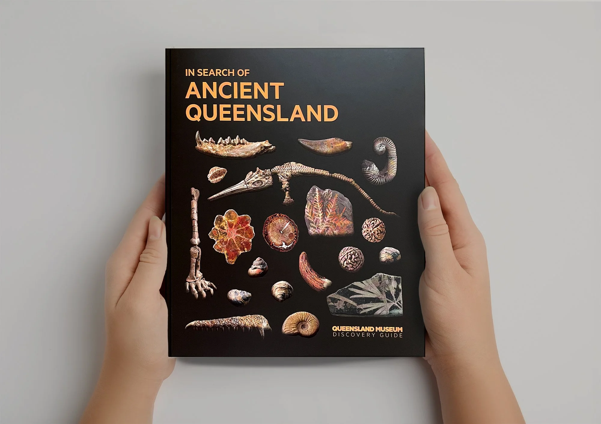 QM_AncientQueensland_01.jpg