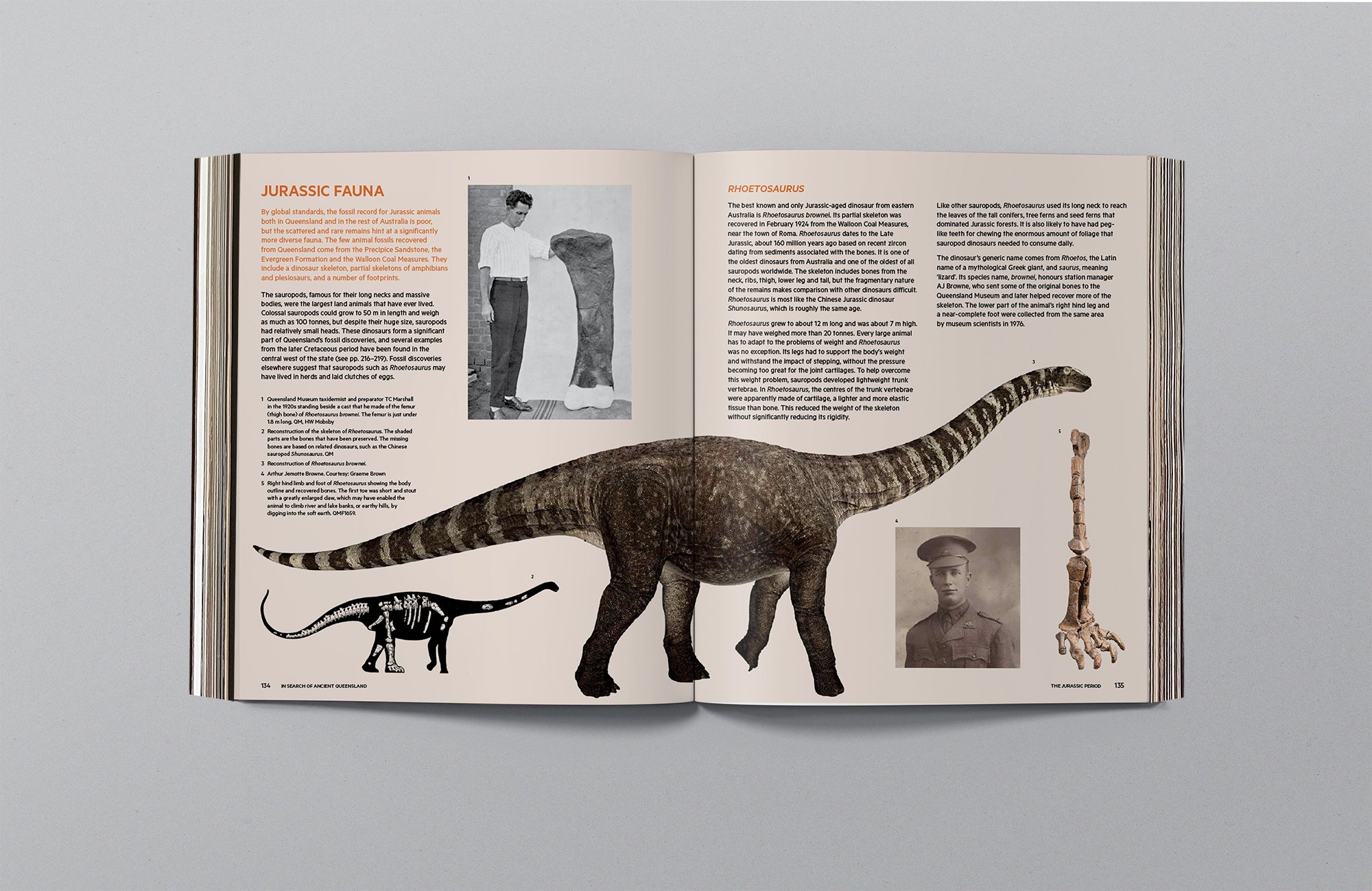 QM_AncientQueensland_02e.jpg