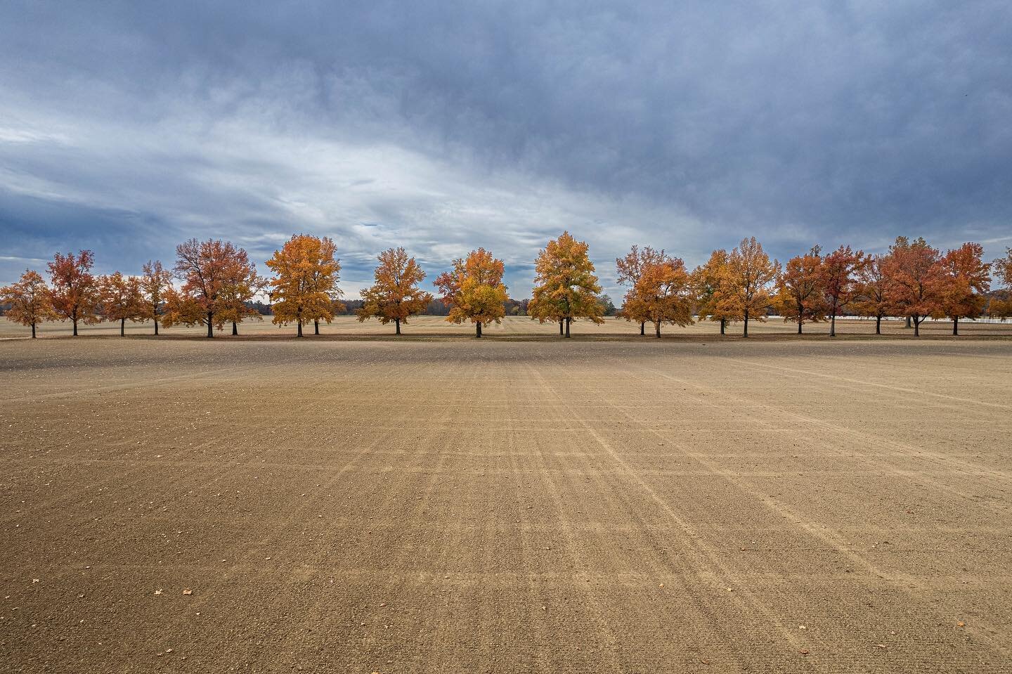 A #fall #sky with some #happytrees middle of somewhere off the main road. #dji #drone #ohio #columbus sorta #