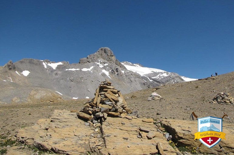 Mont Pucel und Wildhorn von La Selle