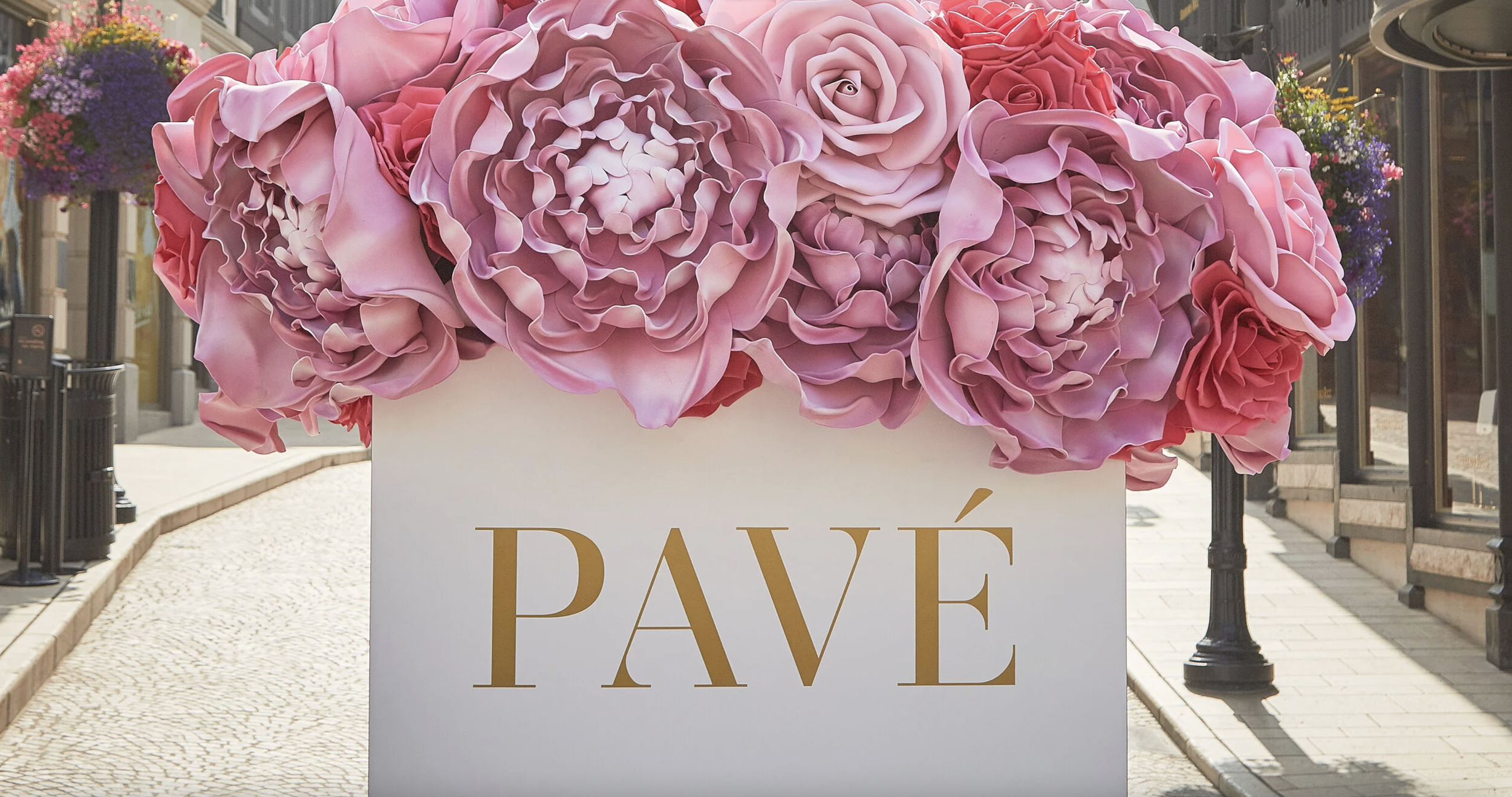 PAVE.png