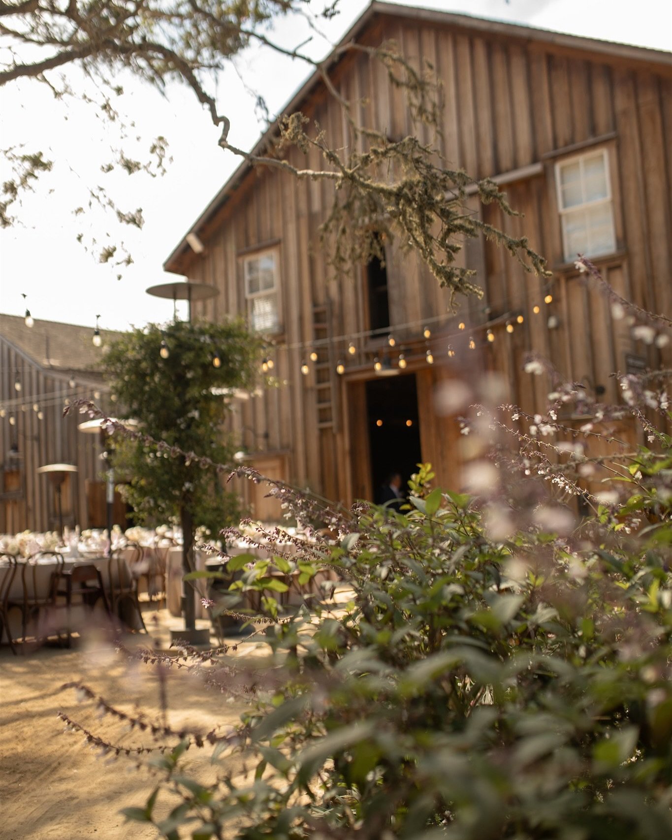 Reception deets: where energy, connection, and celebration take center stage ✨🥂

Vendors:
Photographers: @minraephoto 
Venue: @barnsatcoopermolera 
Florist: @erin.windacrefarm 
Photobooth Bus: @theboothbus 

.
.
.
.
#2024wedding #weddingphotographer
