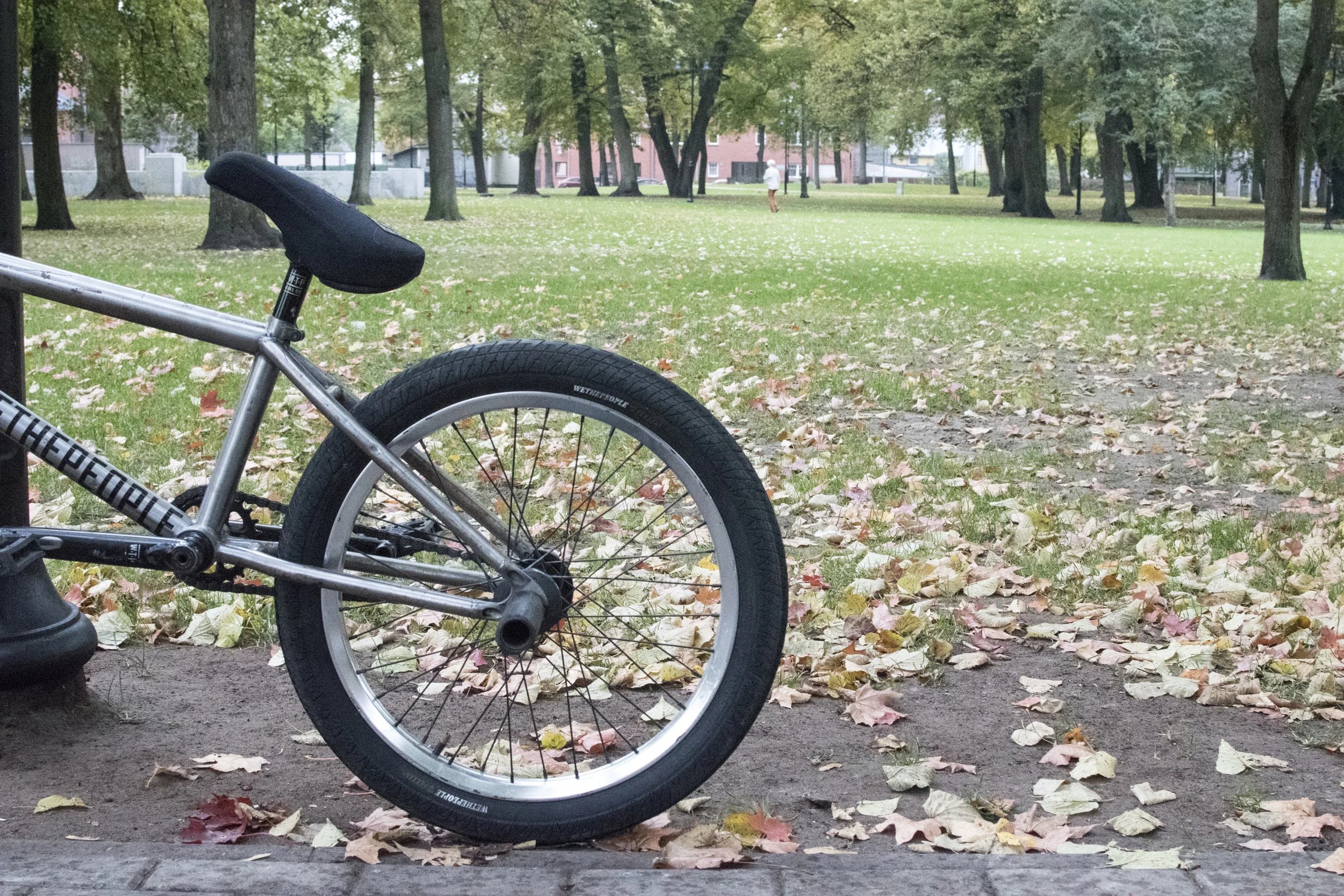 Zunda_bike_check_05.jpg