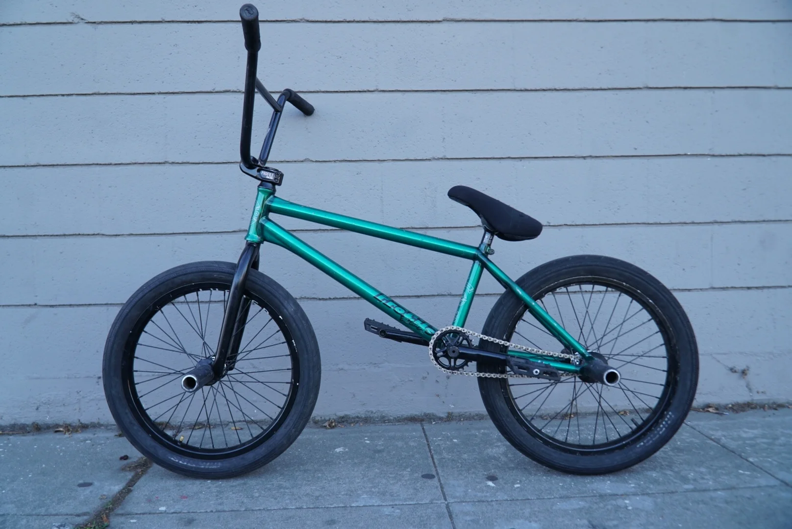 LRG-DSC00500.jpg