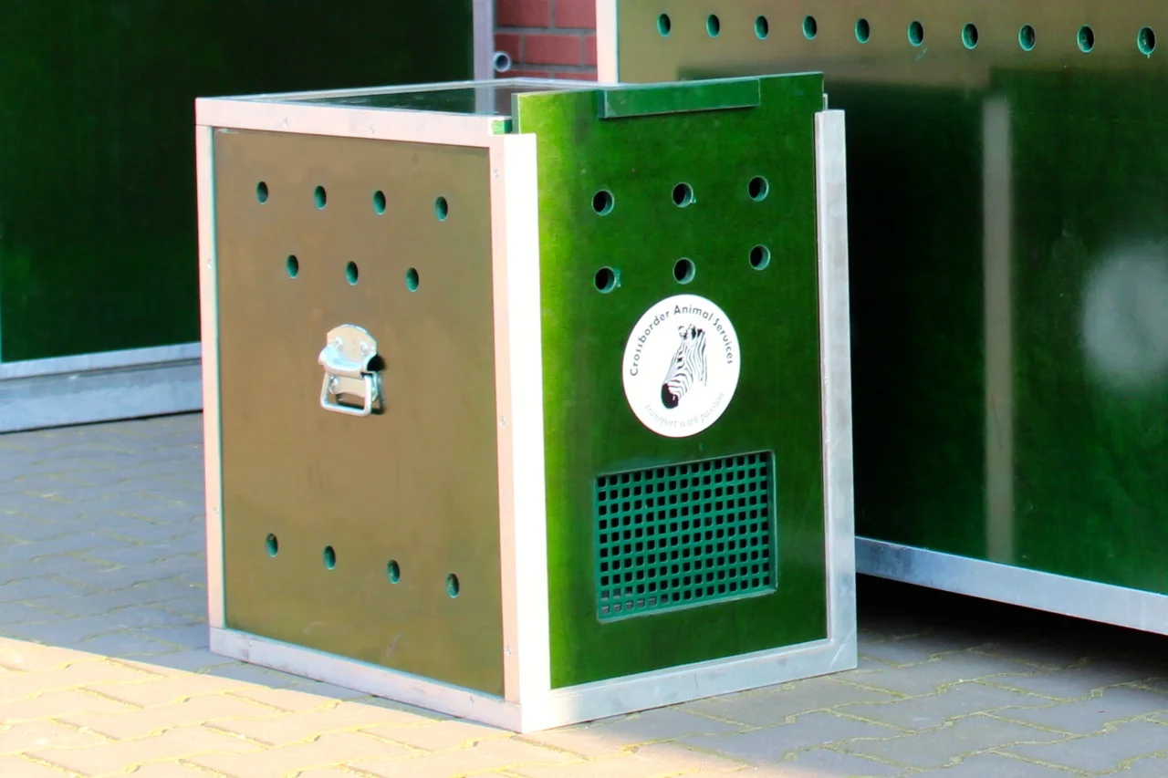 Crossborder Animal Services. Crates for transportation 14.jpg