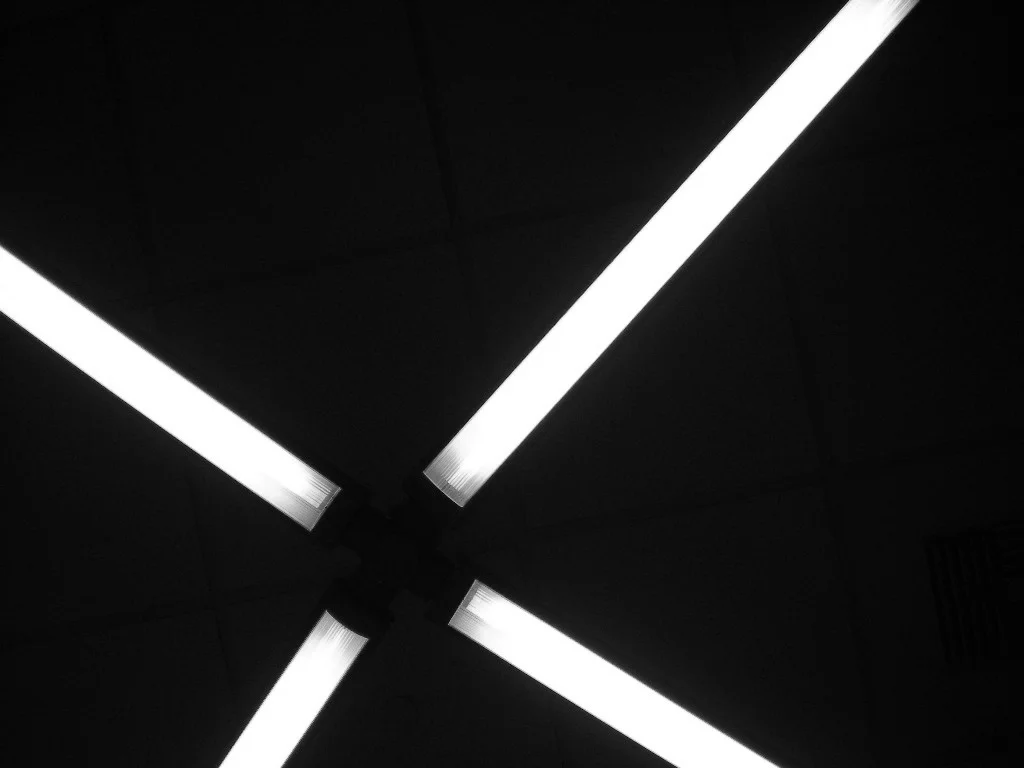 5931199501_234533d5e7_b.jpg