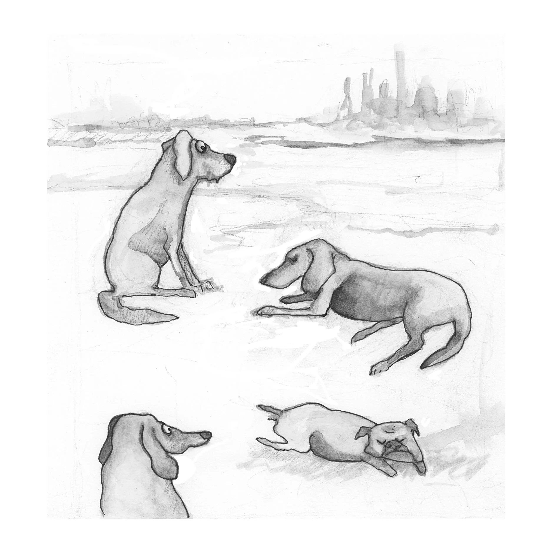 File12 copy.jpg