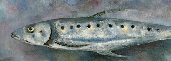 Enoteca Sardine Final copy squarespace edit.jpg