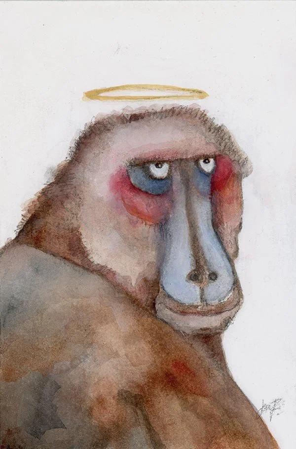 Monkey A good boy jpg.jpg