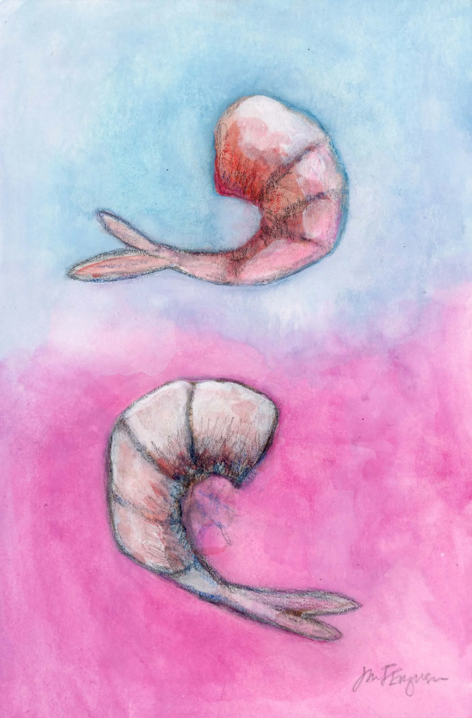 blue and pink shrimp watercolor adj copy.jpg