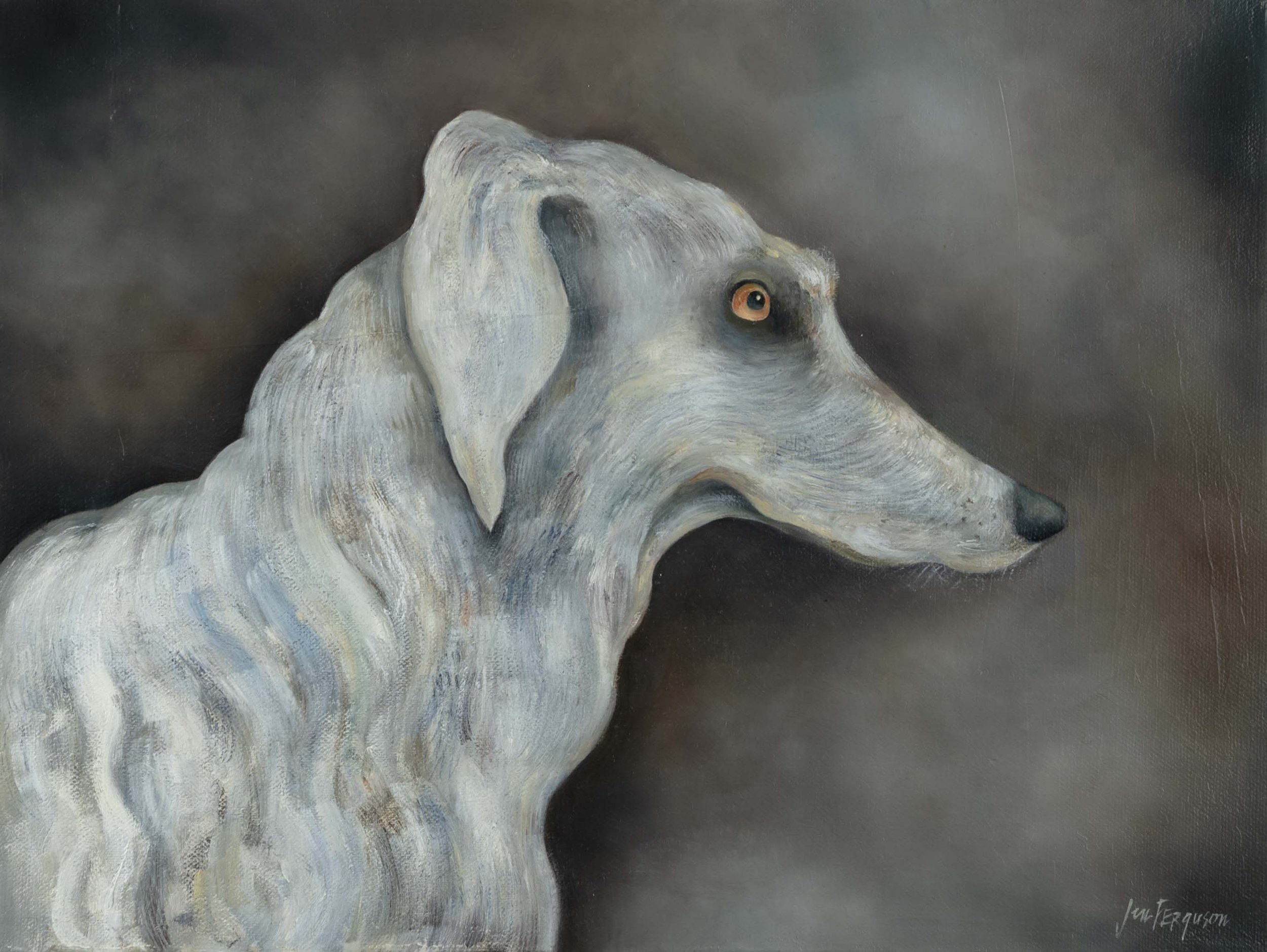 Borzoi.jpg