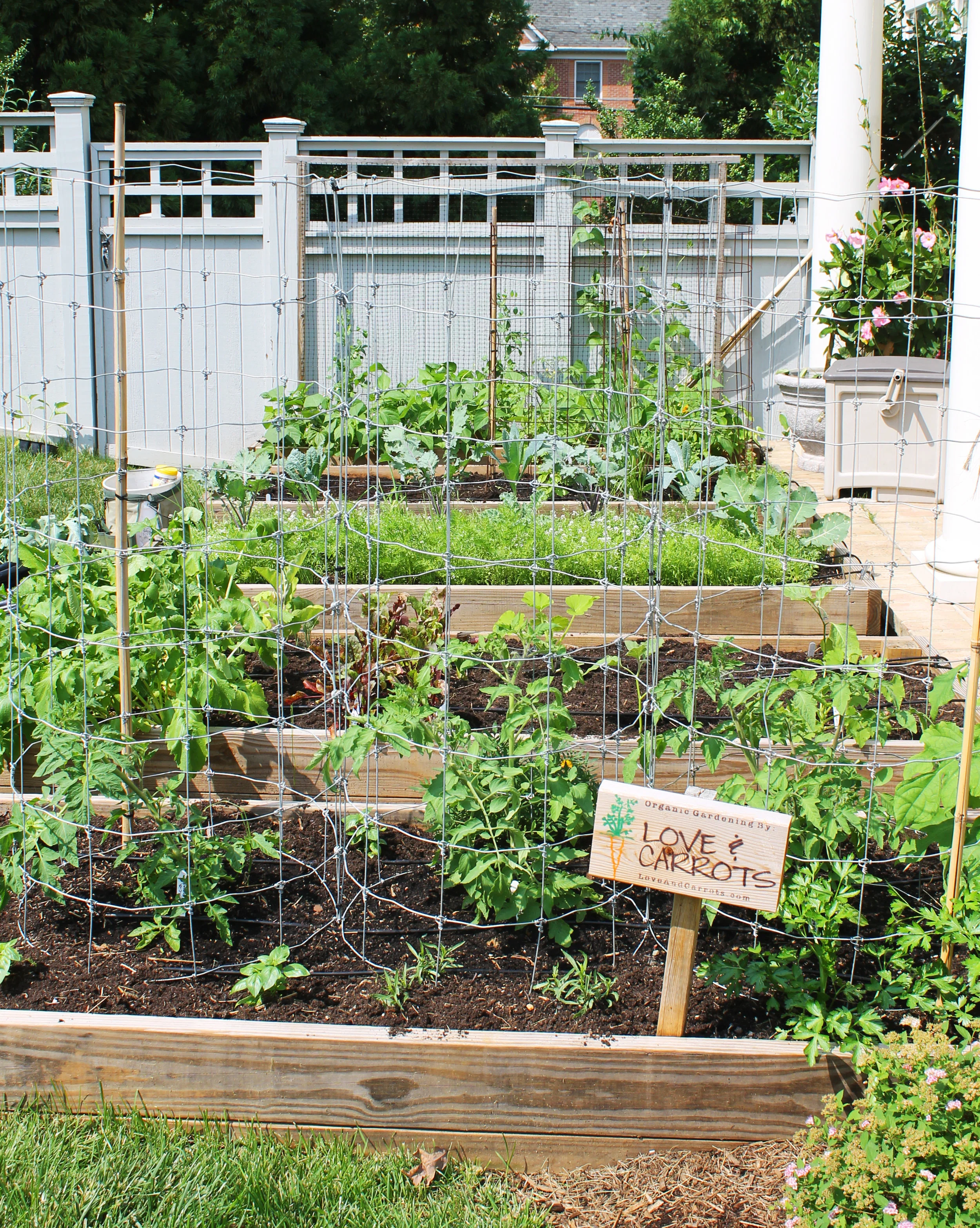 raised bed gardening on Residential Gardens Love Carrots