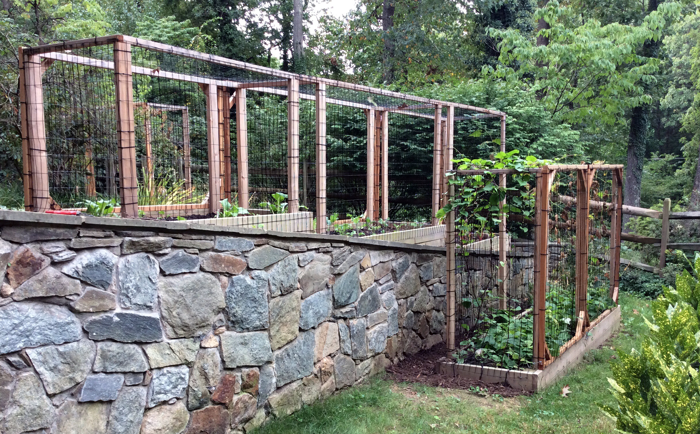 Raised Bed Garden with "Critter Cages"