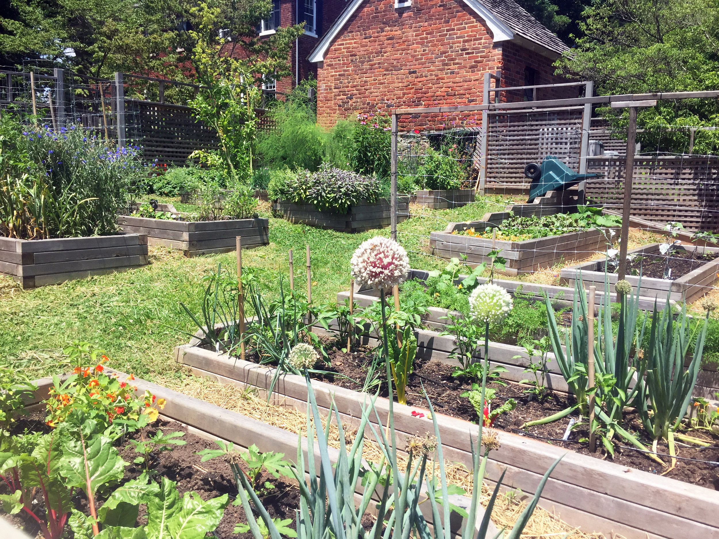 Raised Bed Garden, Thick Sides, Sloped