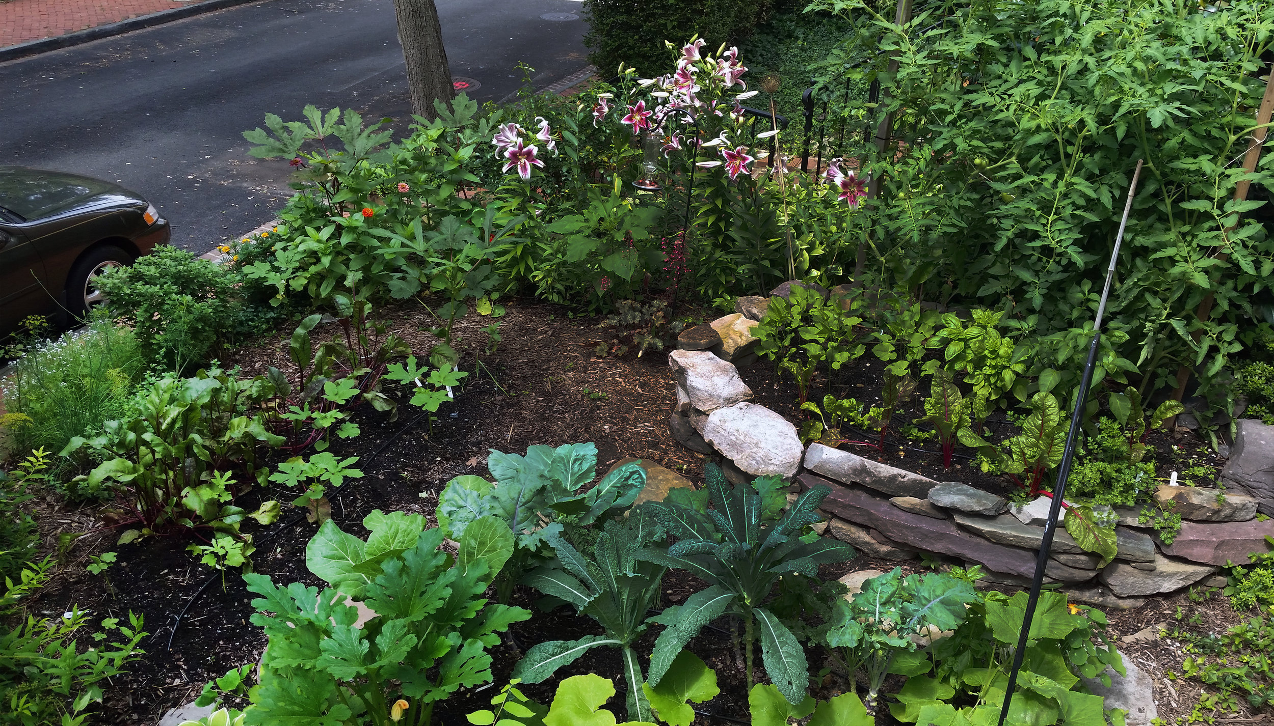 Stone Raised Bed, Perennial Planting