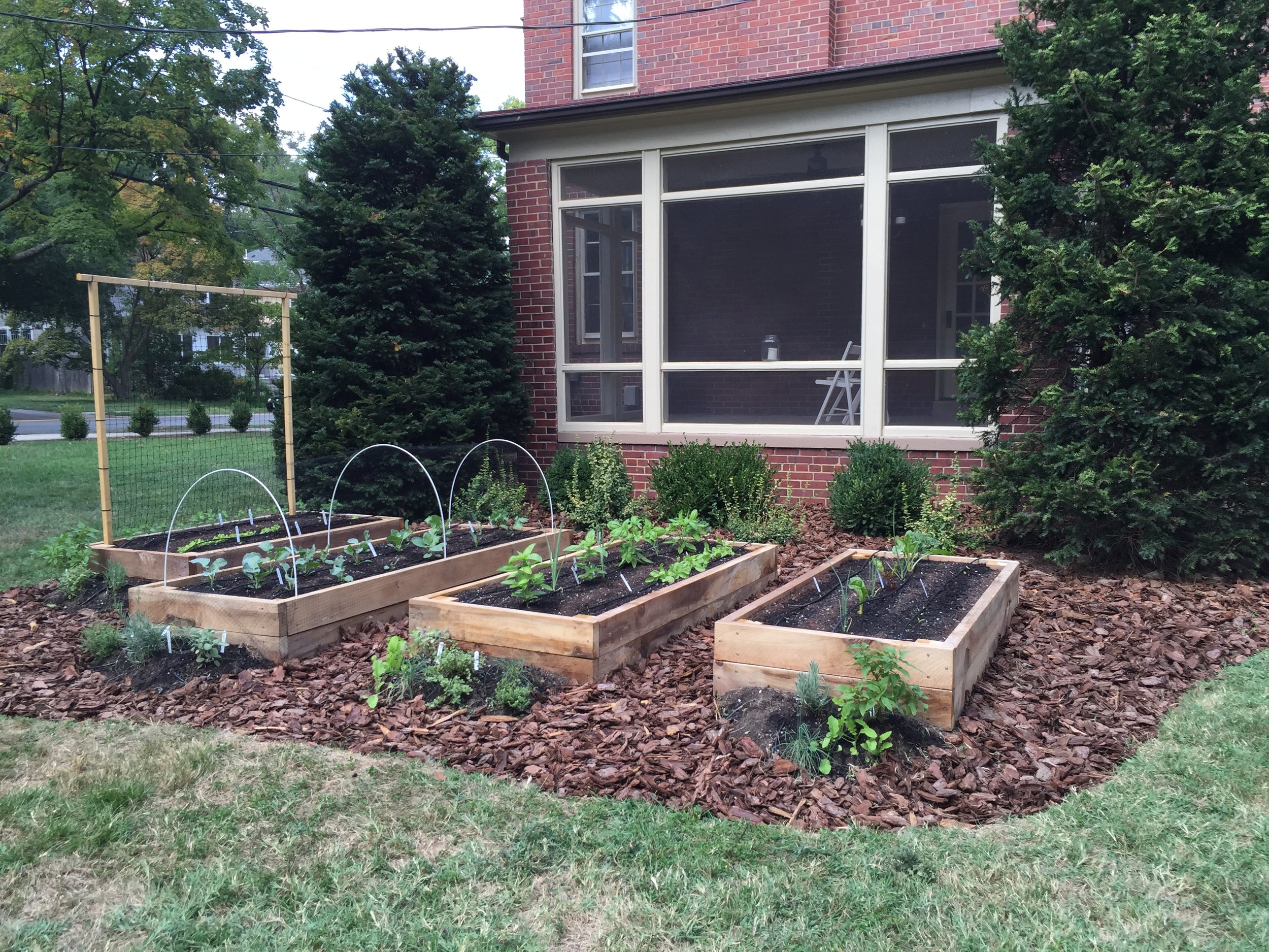 Raised Bed Garden, Trellis, Mulching