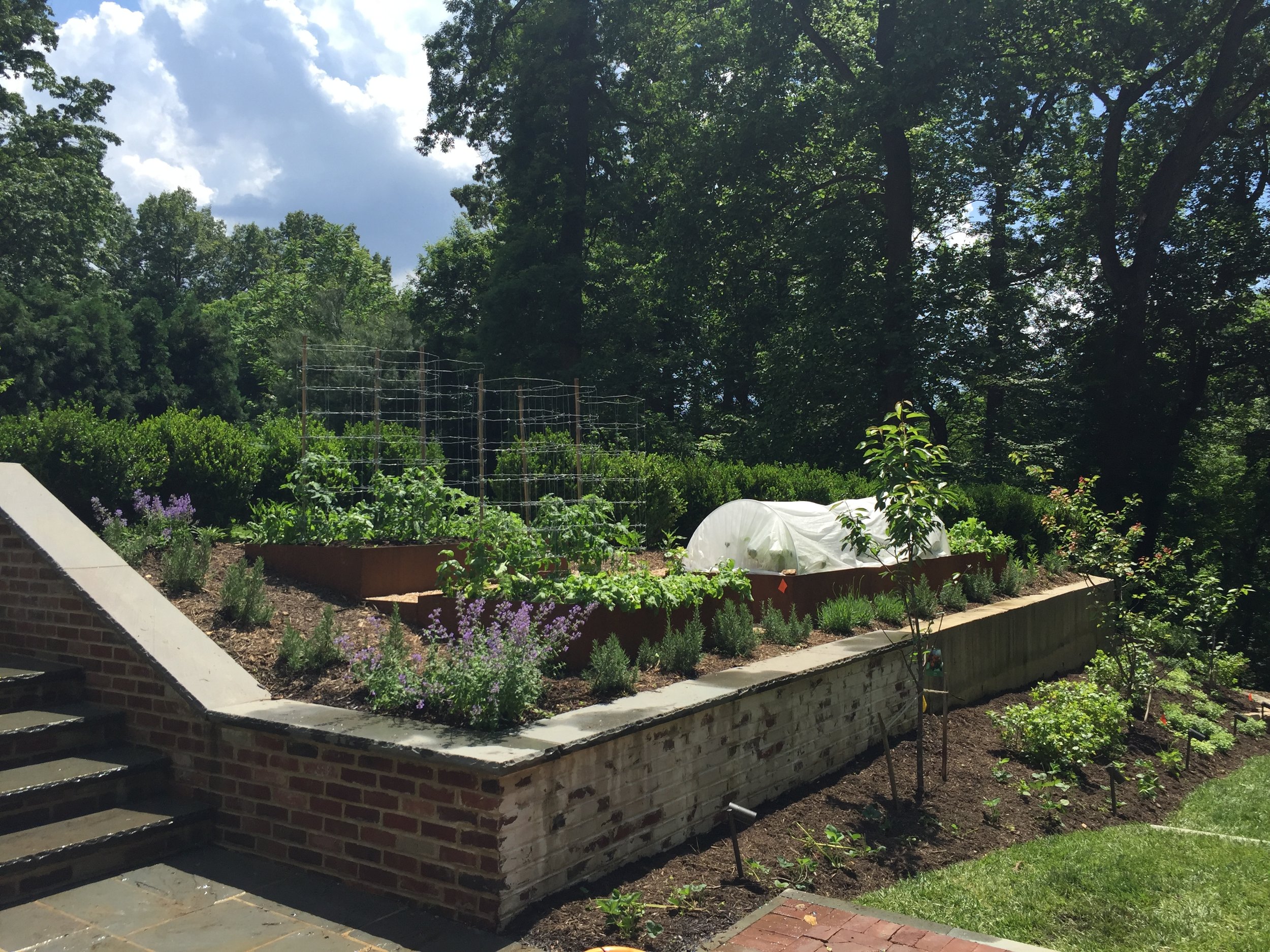 Raised Beds_Webb_2.jpg