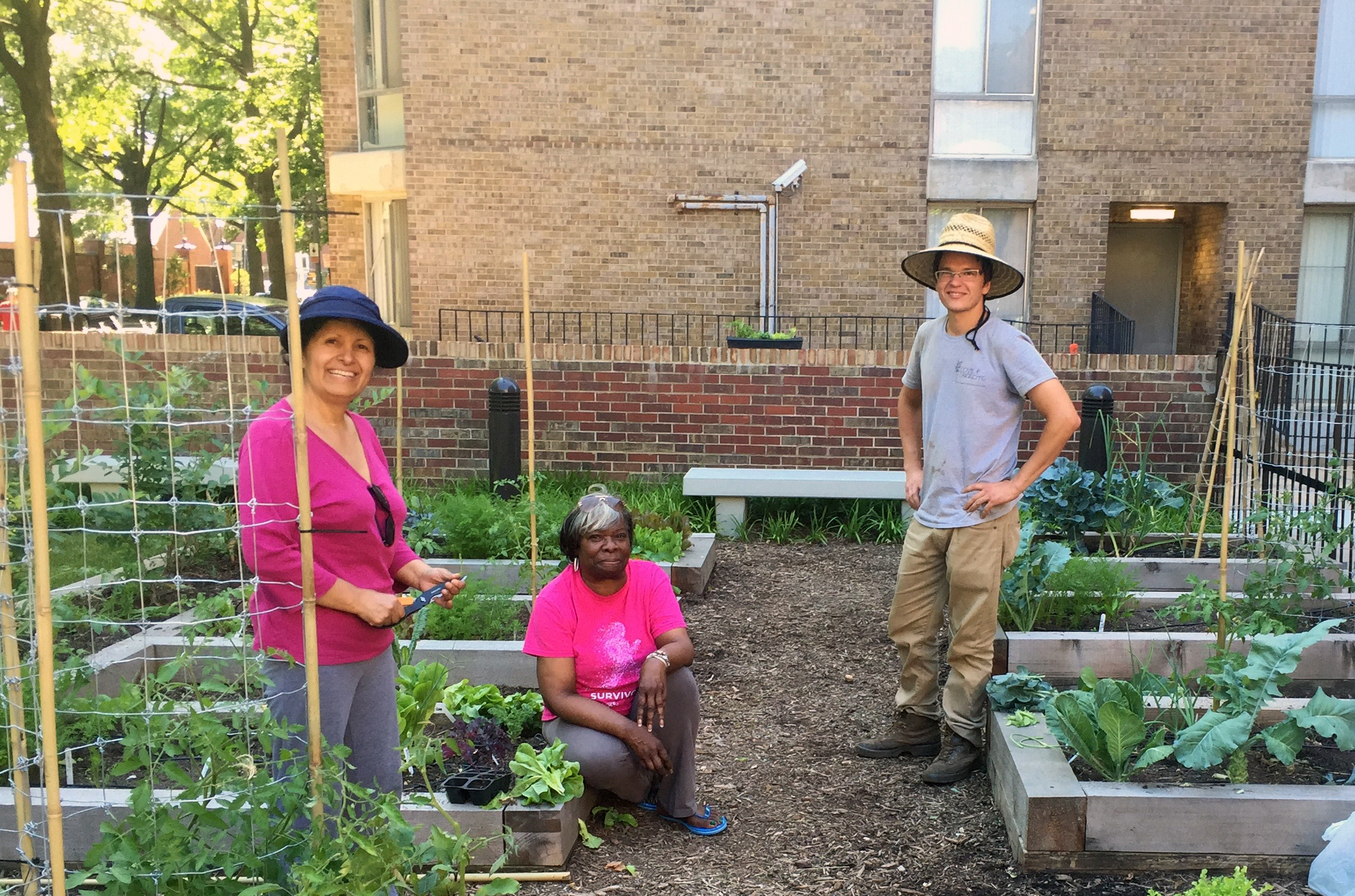 Community Gardens_Channel Square_1.jpg