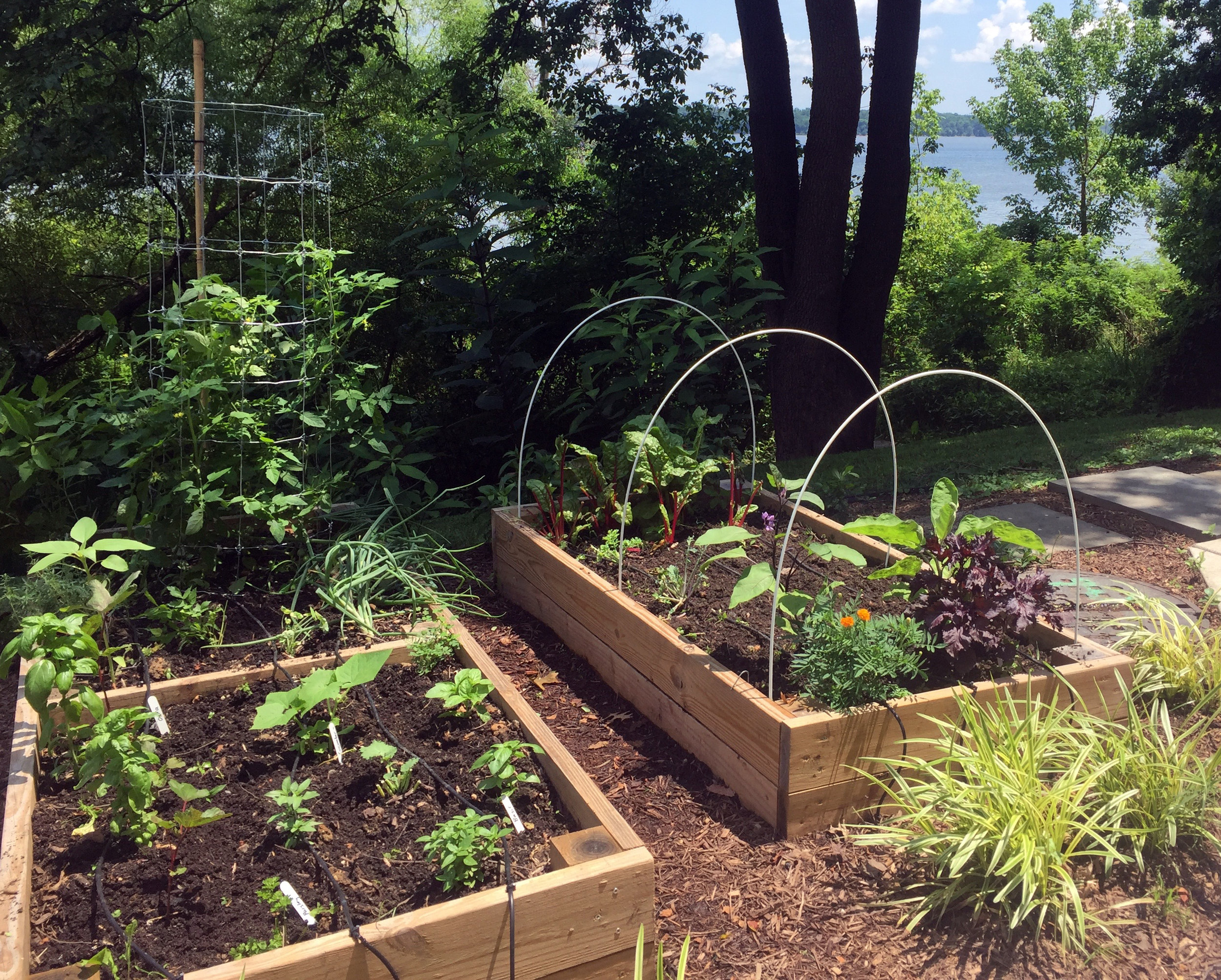 Raised Beds_Fort Belvoir_1.jpg