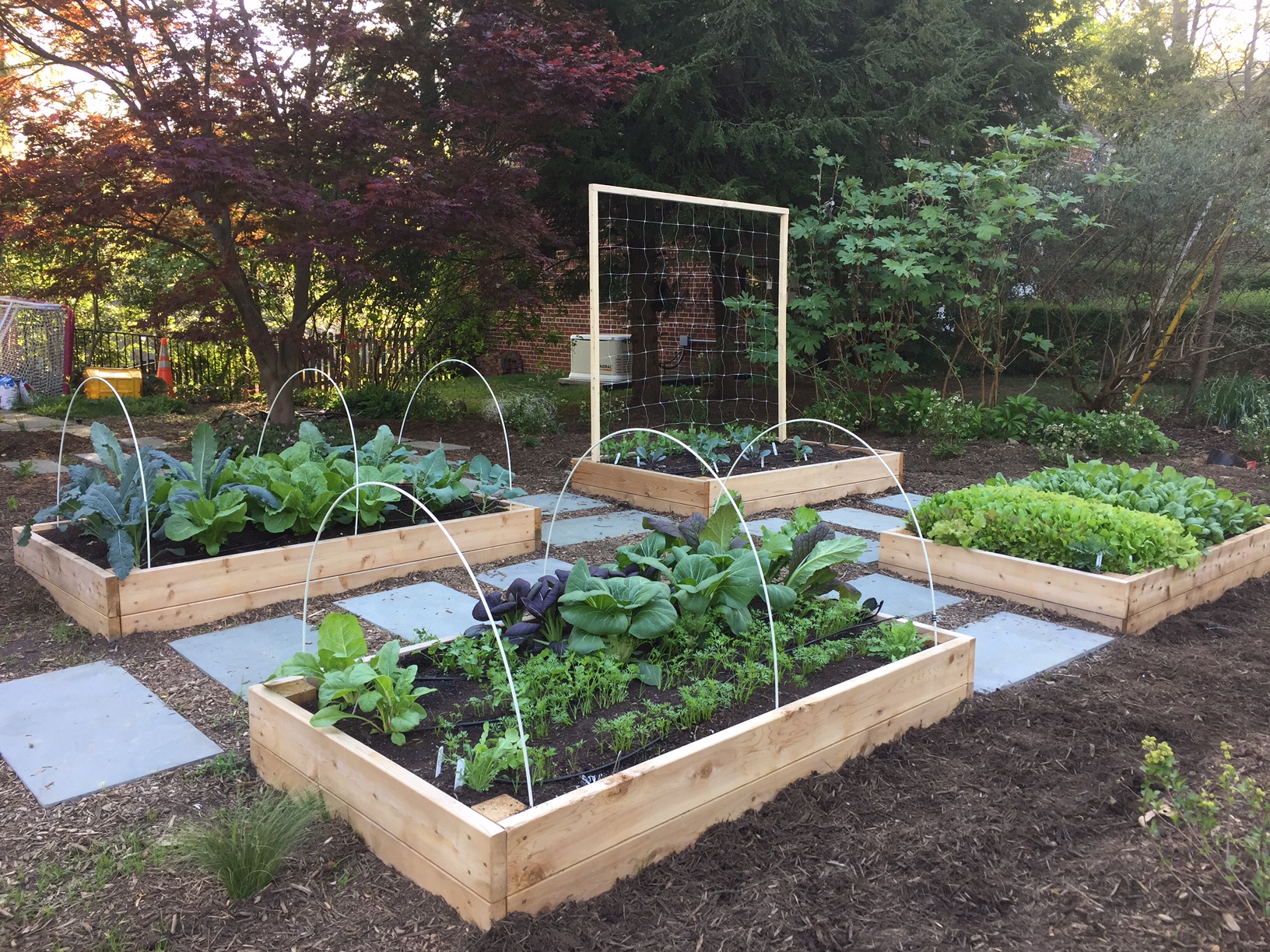 Raised Bed Garden with Trellis and Flagstones