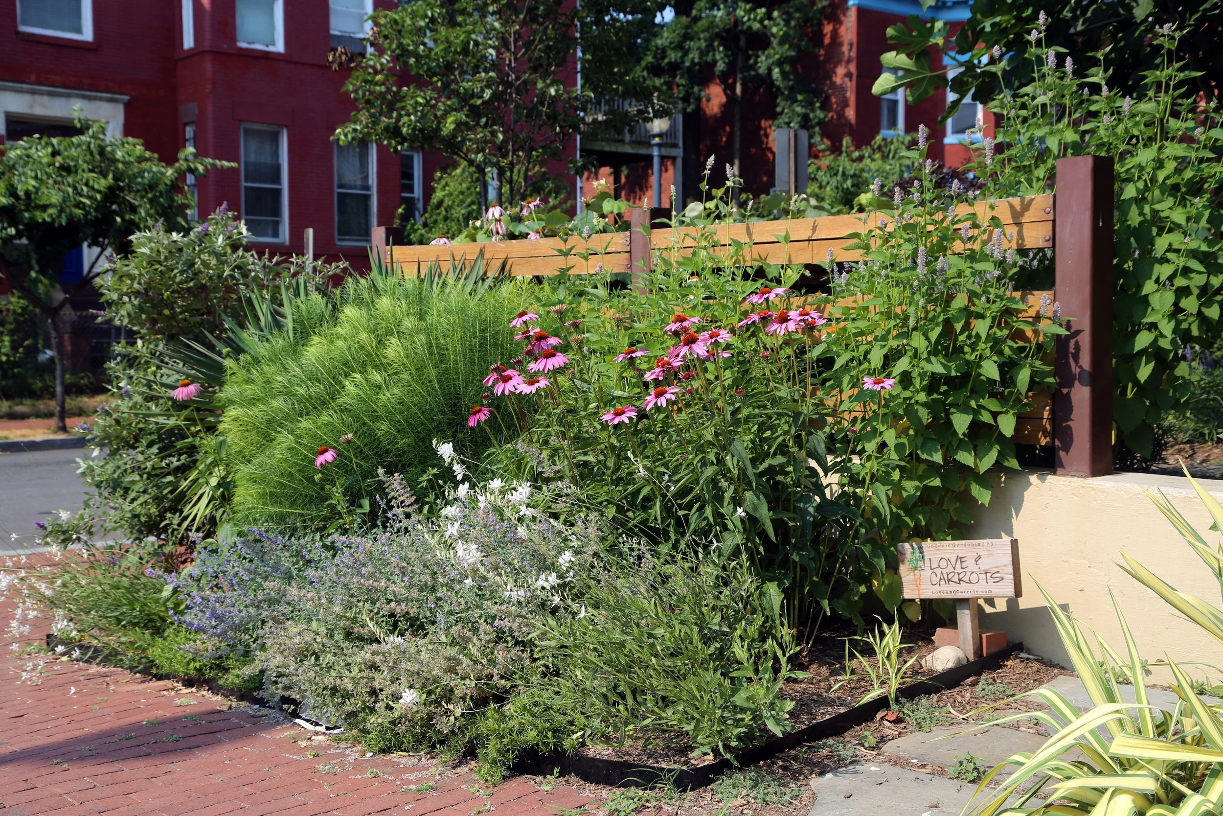 Red Hen landscape.jpg