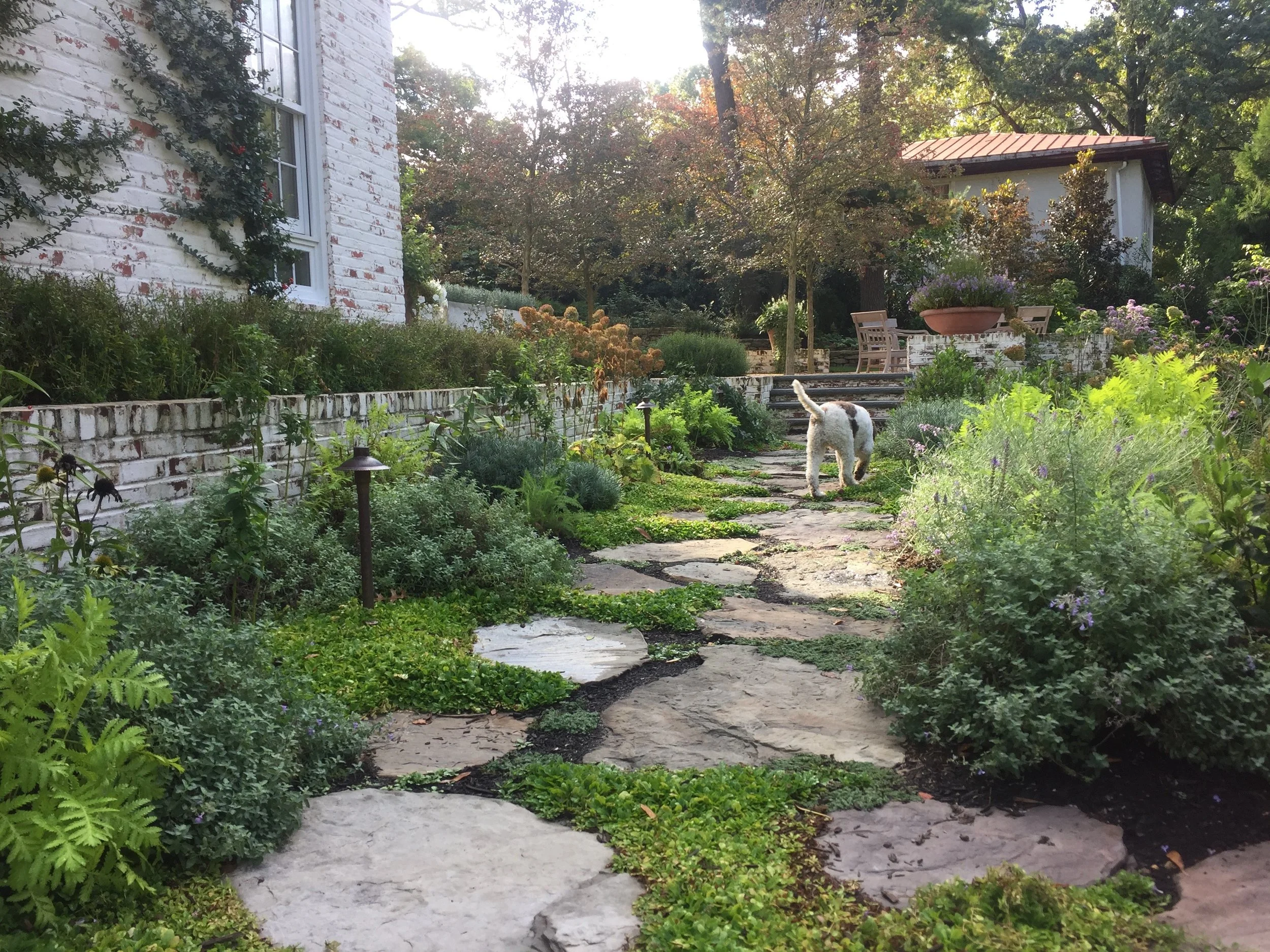 Landscapes Webb2  (1).jpg