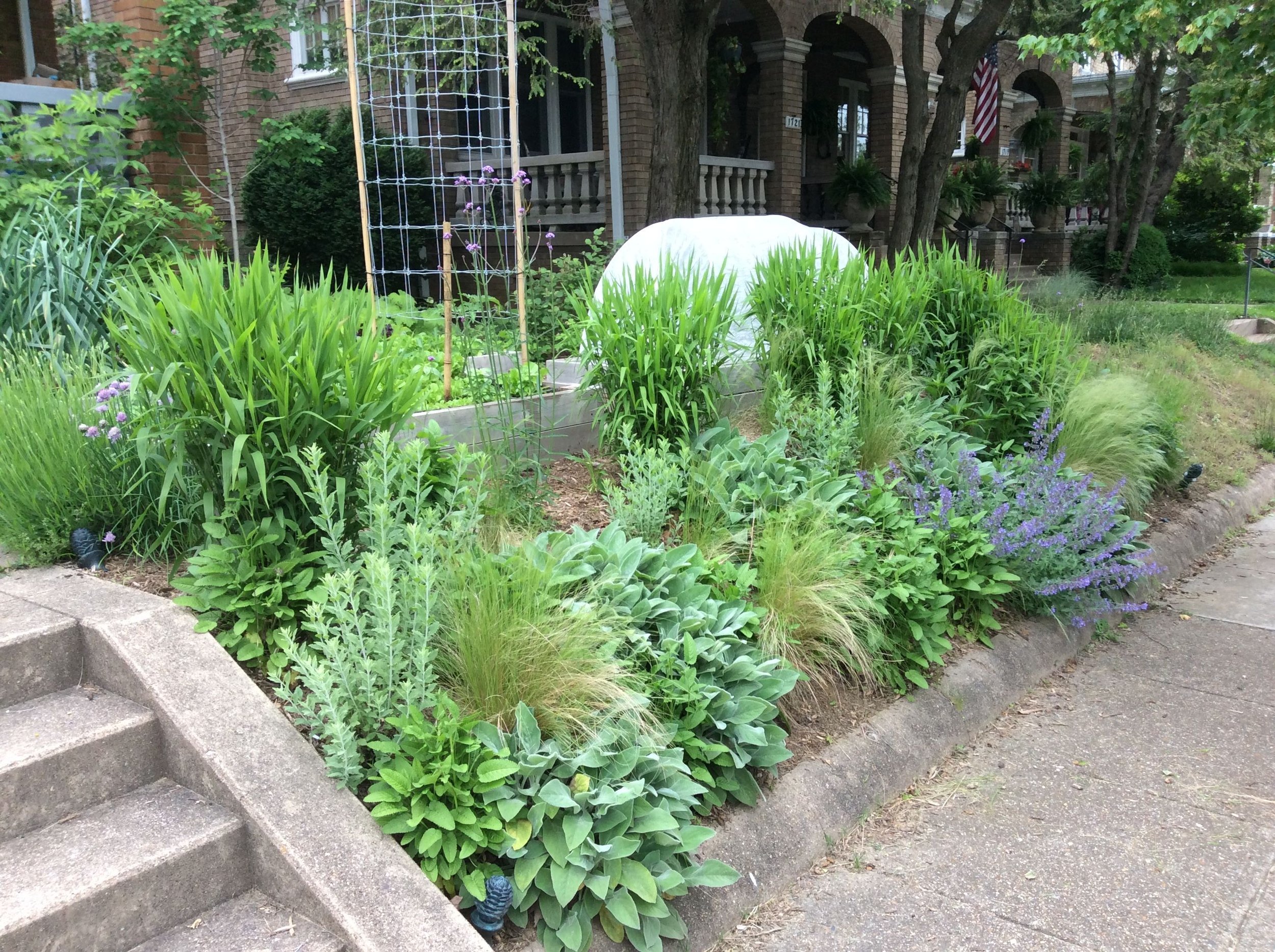 Front Yard Garden 2.jpg