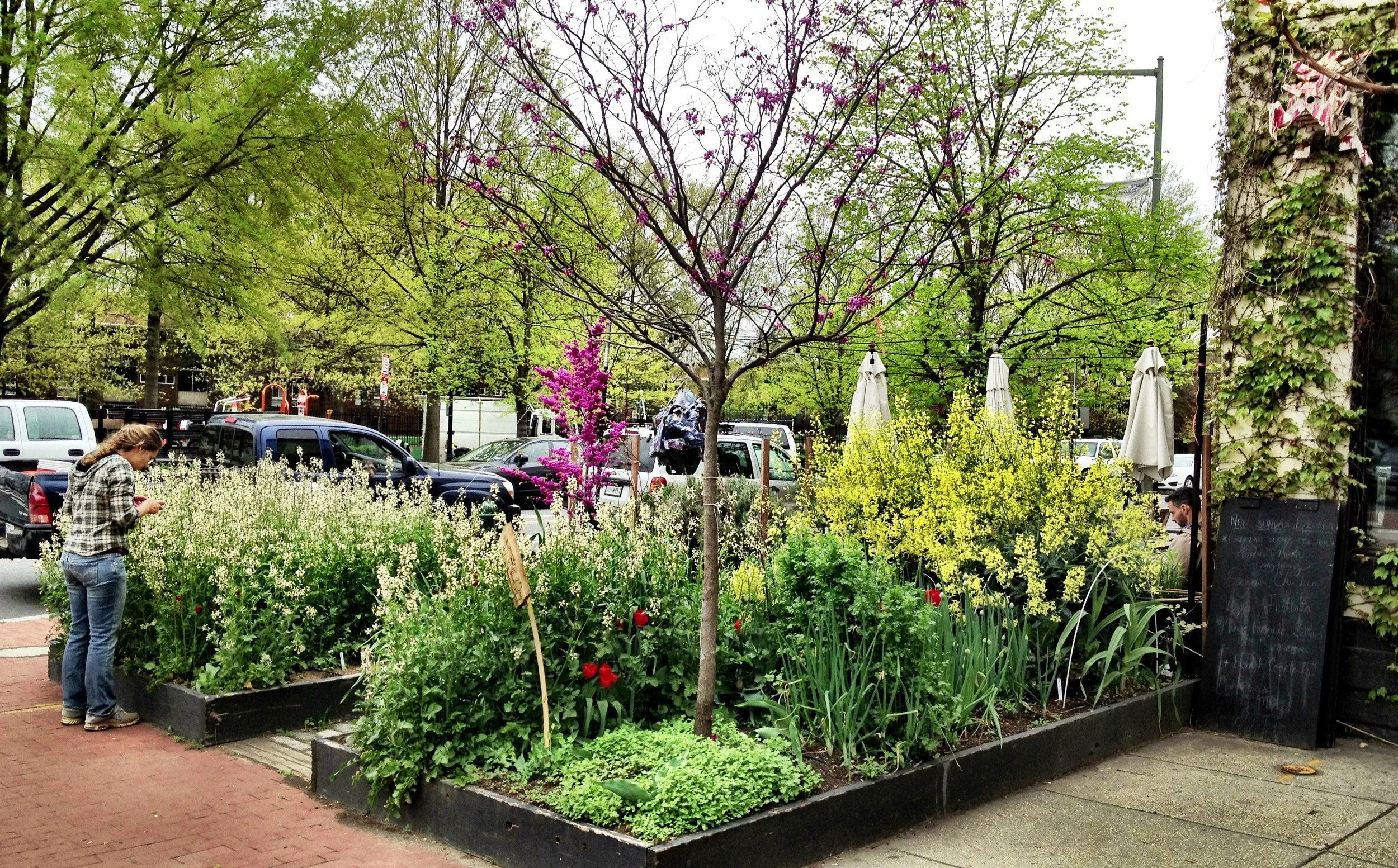 Big Bear Cafe Sidewalk Edible Landscaping.jpg