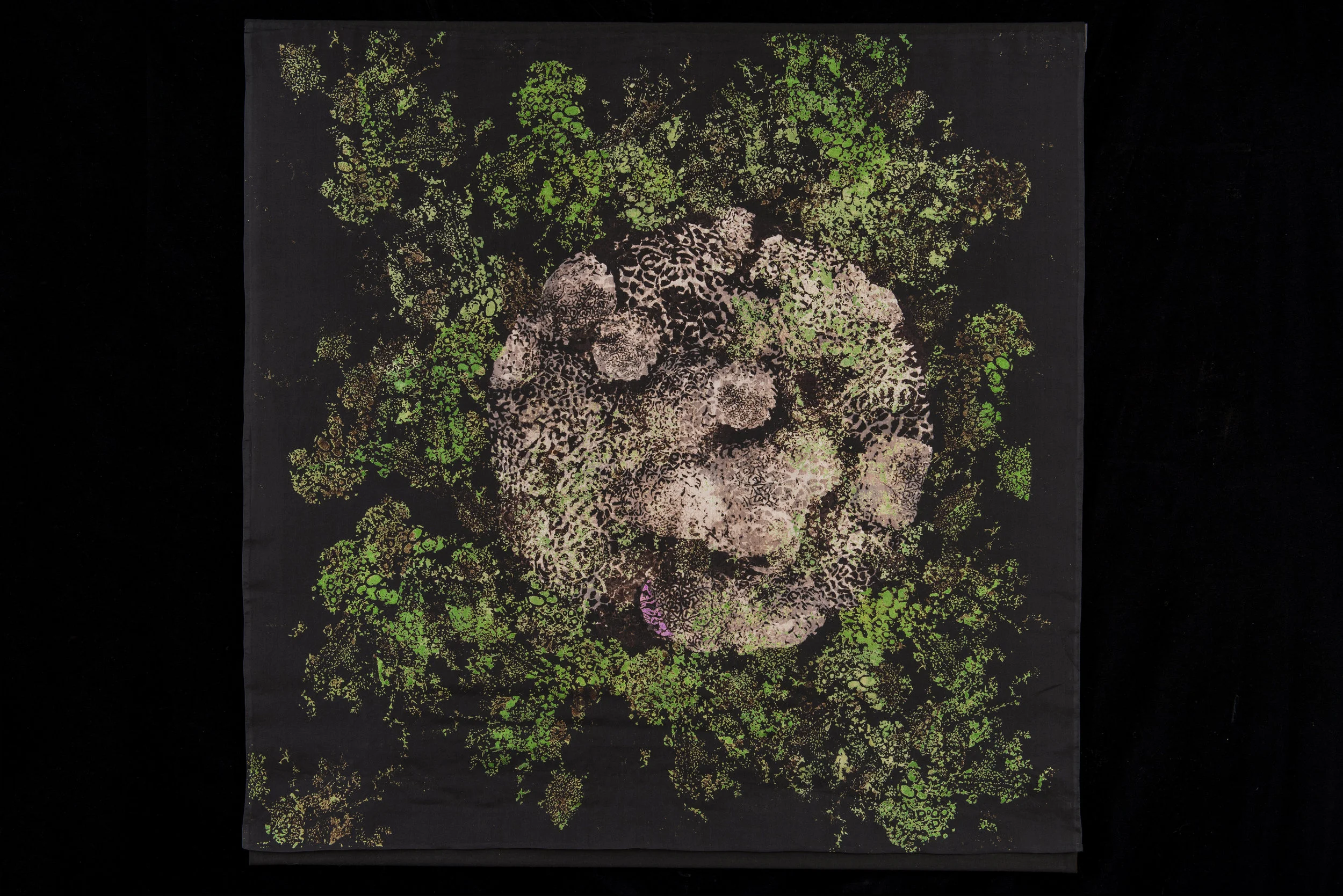 Forest Floor: Moss