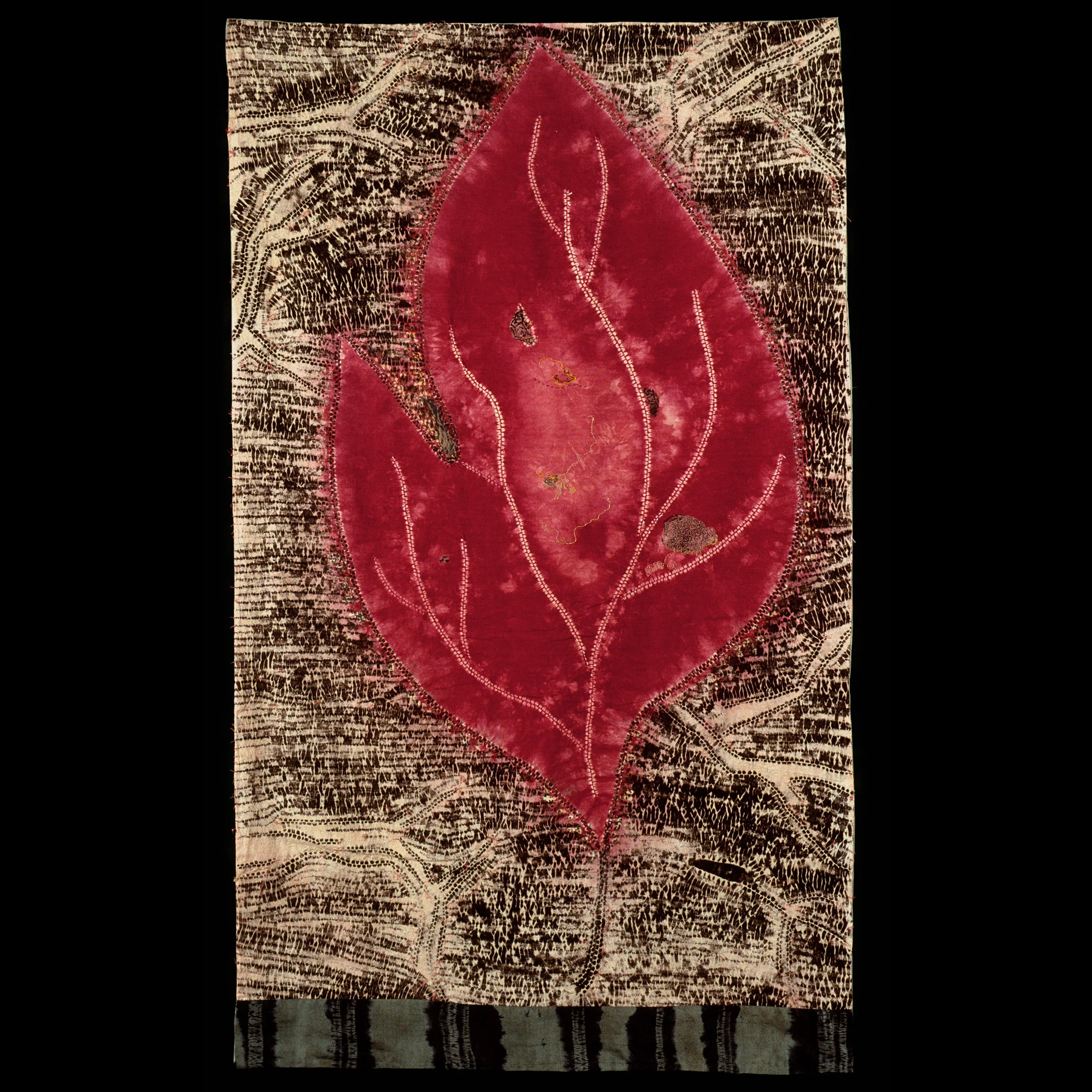 November Sassafras