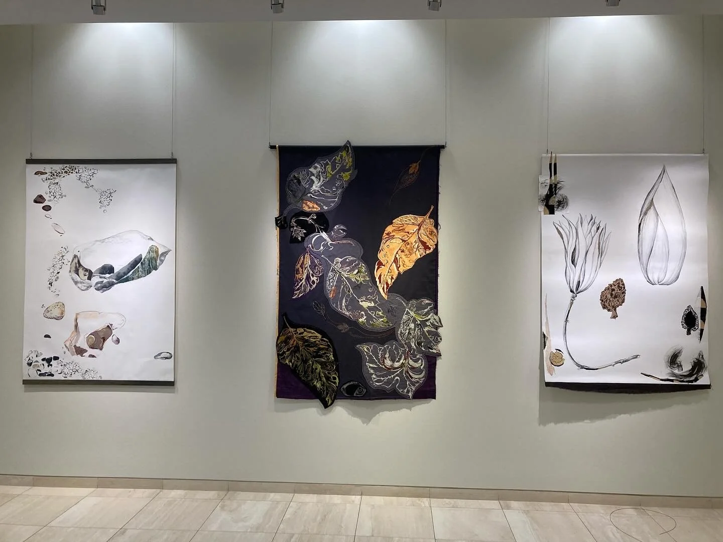 Observed and Collected- on view until Dec. 14 2024