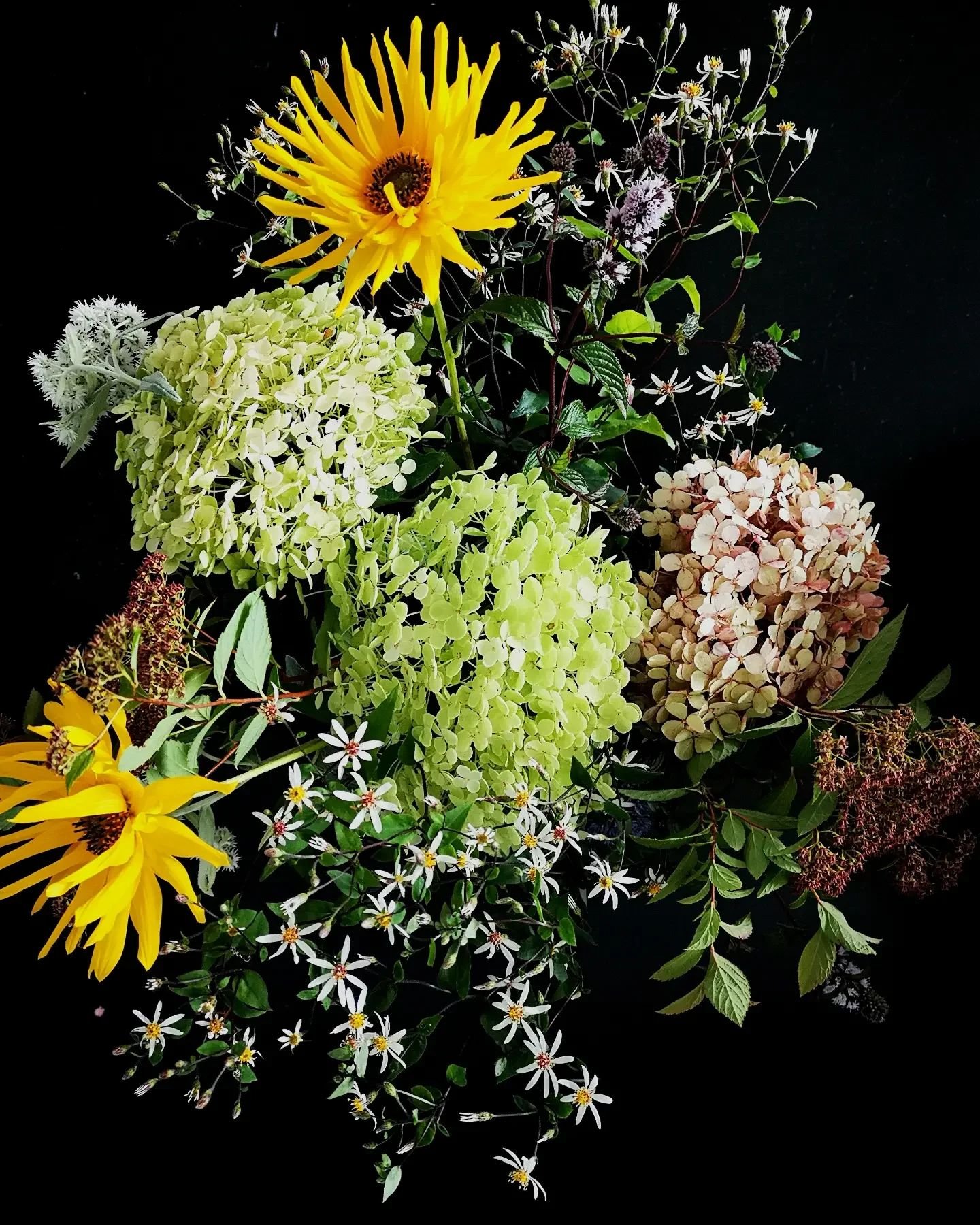 Late summer
#flowersfromthegarden #woodlandasters #annabellehydrangea #peppermint #spirea #sunflower