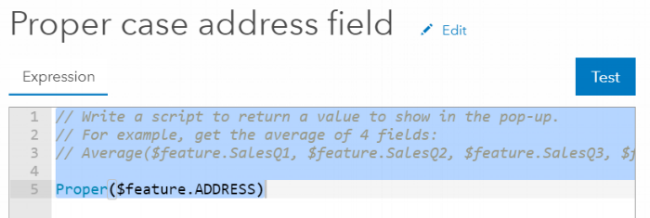 ProperCaseAddressFieldExpressionEditor.png