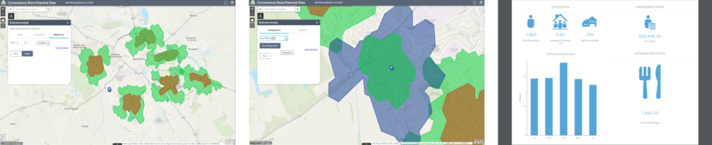 The BUSINESS analyst widget for web Appbuilder.