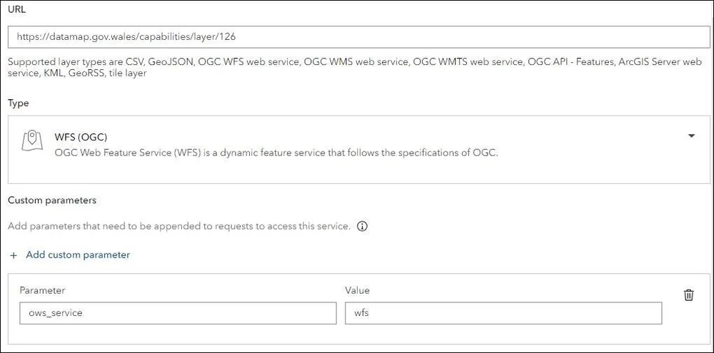 OGC Services and Custom Parameters