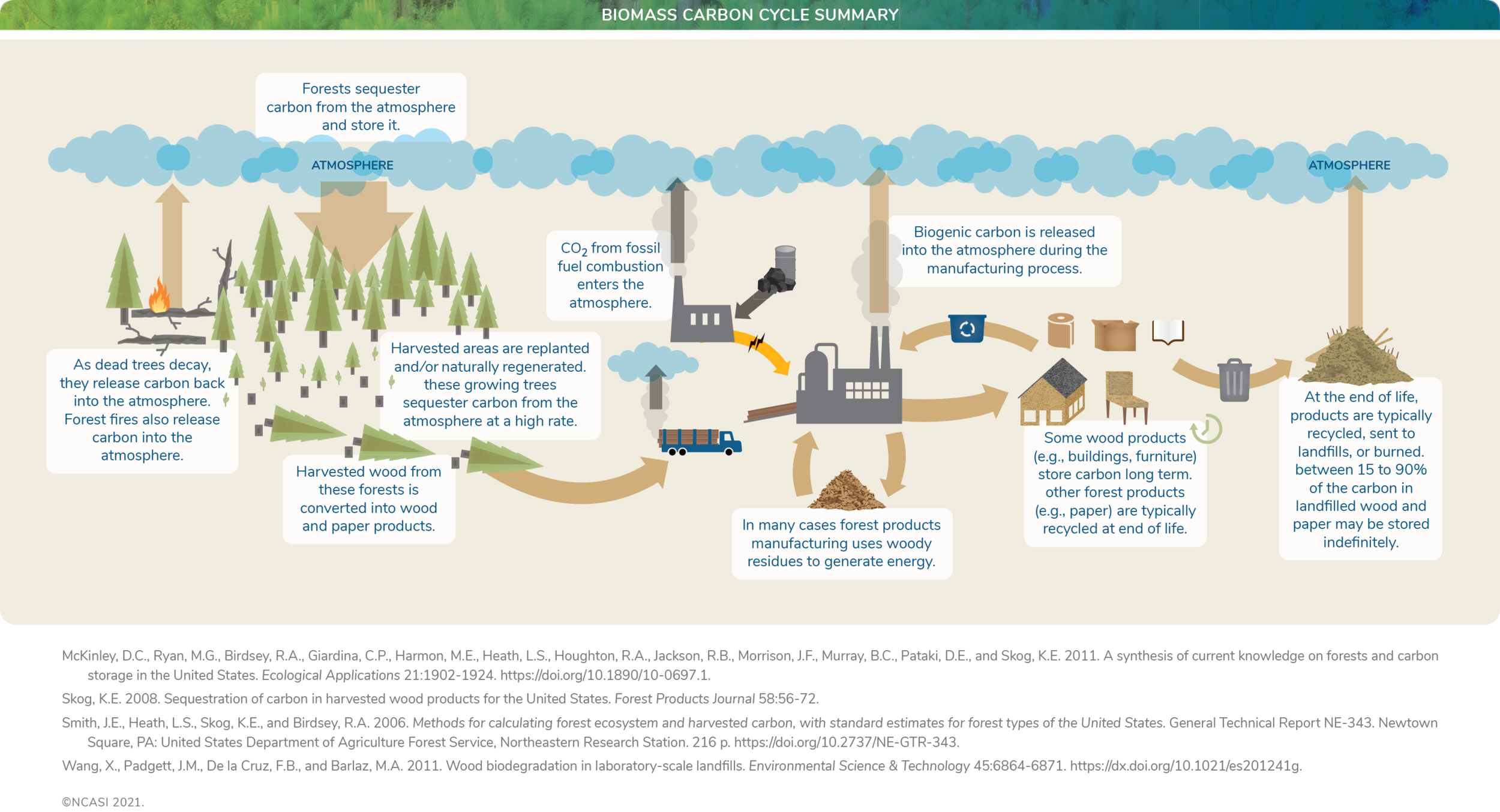 NCASI25_BiomassCarbonCylcleSummary_R6.png