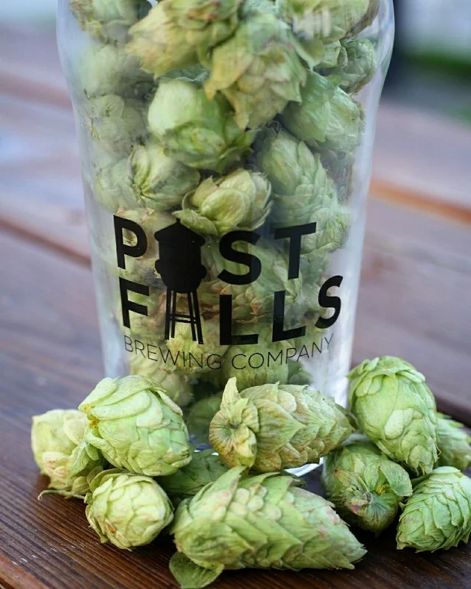 hops.jpg