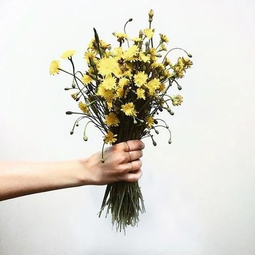 Morning Ritual: Dandelion + Chicory Root Coffee With a Ghee Twist