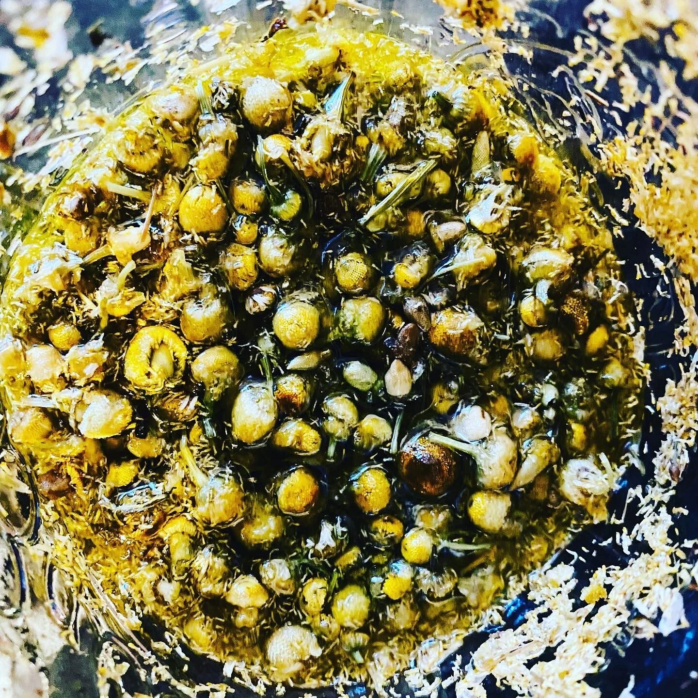 AF50C9AB-C8B5-43DA-A9E2-3A73D4A36C0E