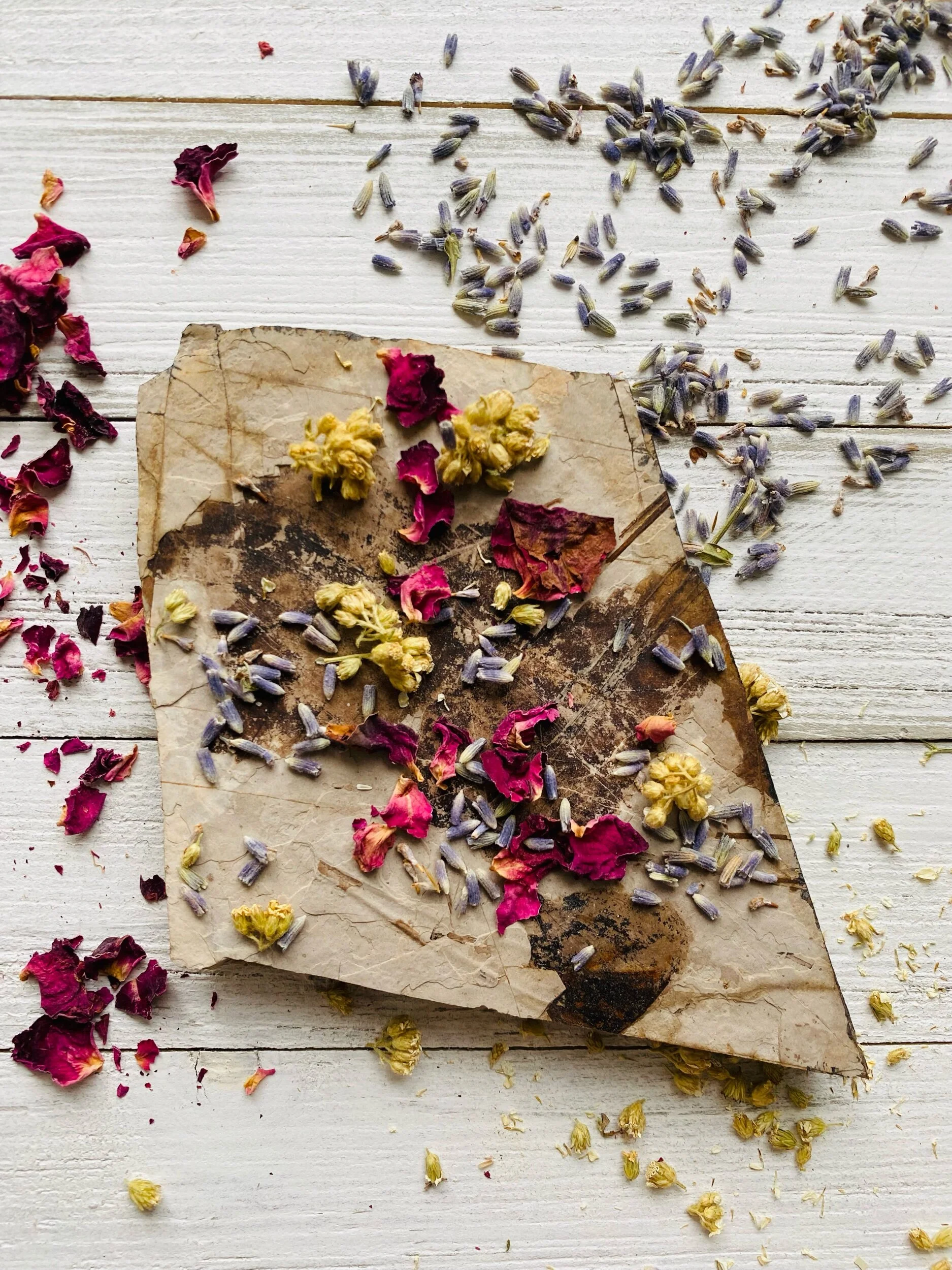 B71BCC7E-C631-4B67-A1A7-11859803B44A