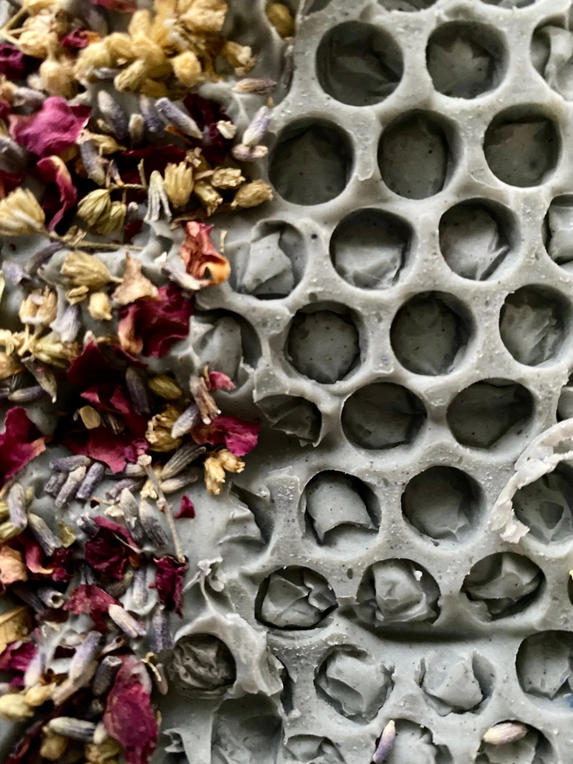 5822DBE9-2DDF-44E1-8EC9-FE84590FA649