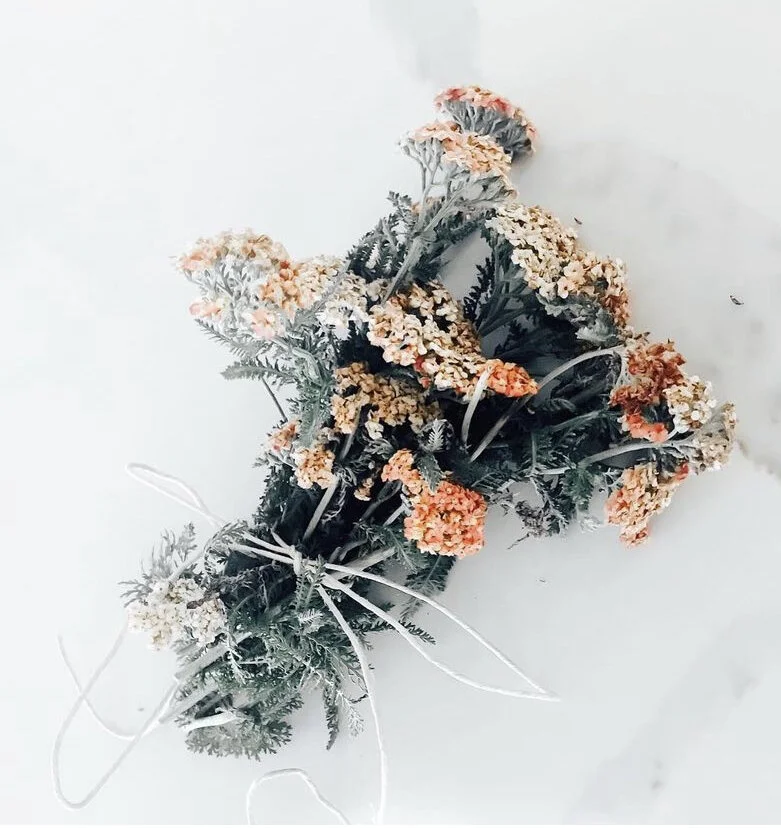 5BE4FA0B-D46C-4FD3-8428-4AD3D37C7268