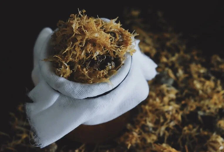 B8C3EED6-479F-43FC-8D12-952E36847BE9