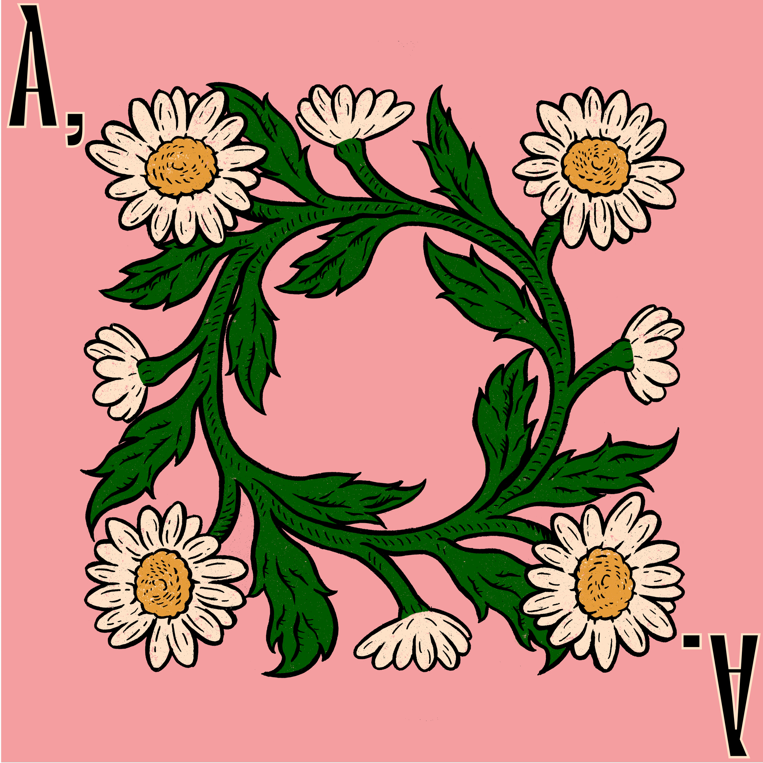 IMG_0560.png