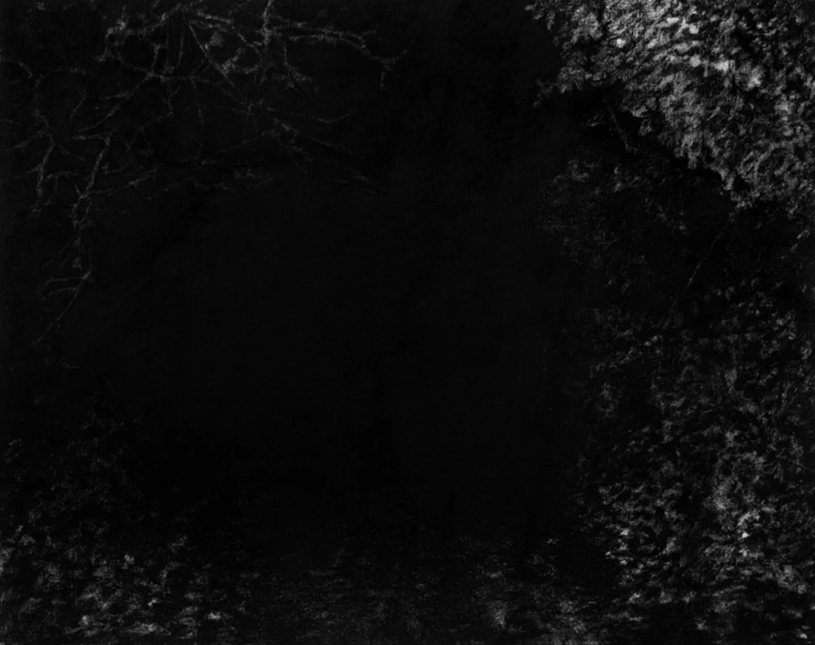 Le chemin la nuit