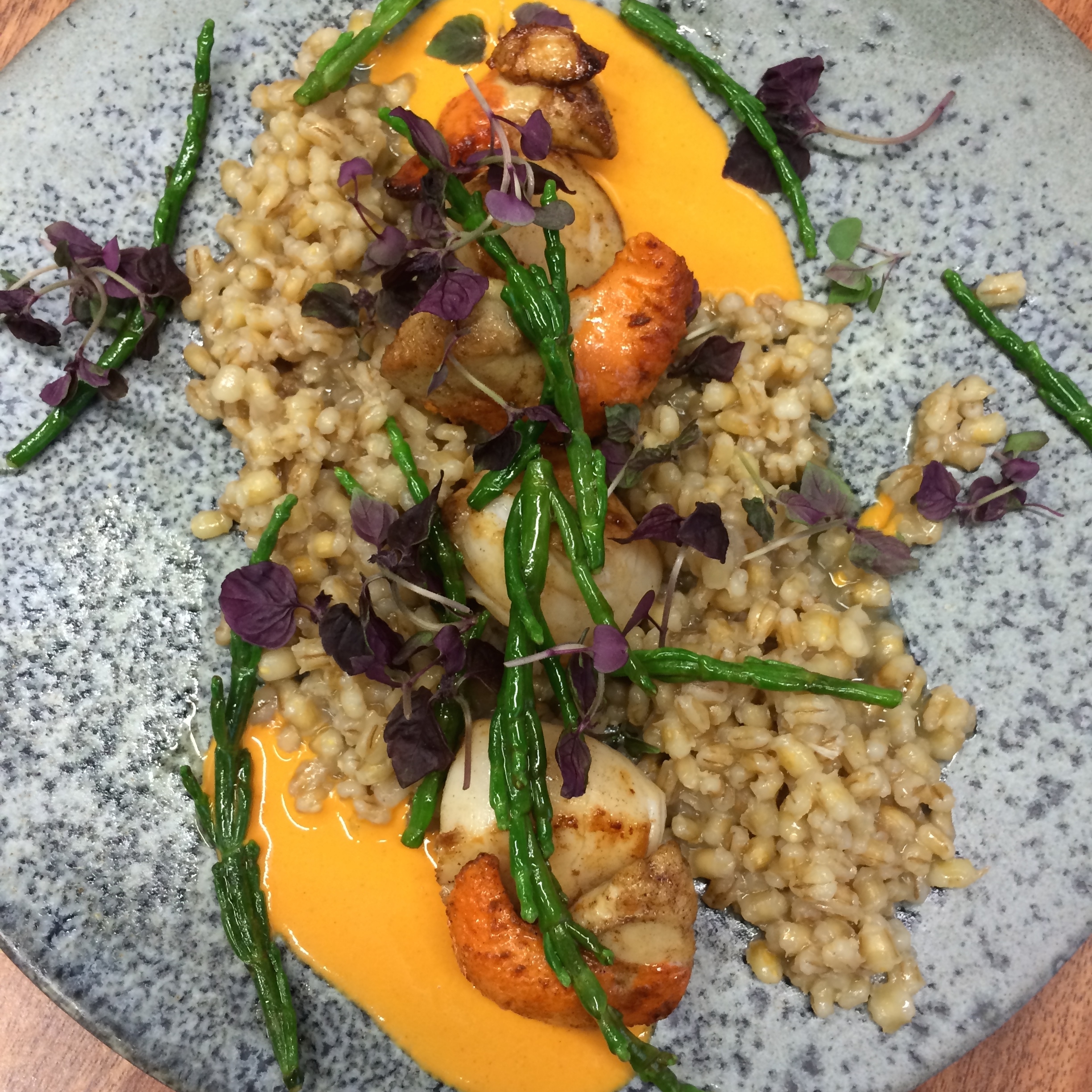 Seared scallops with barley salad and samphire